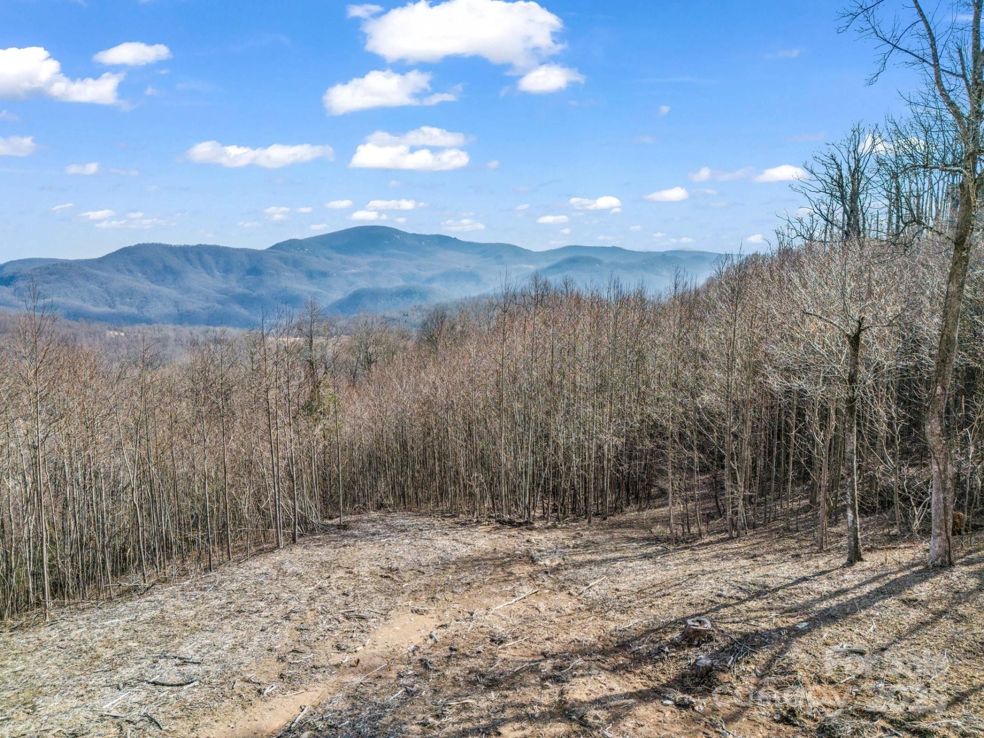 Property image 2 at 1233 Grand Oaks Drive, Hendersonville, NC 28792