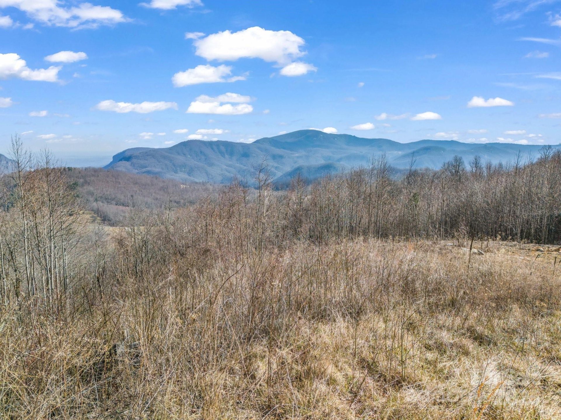 Property image 4 at 1233 Grand Oaks Drive, Hendersonville, NC 28792