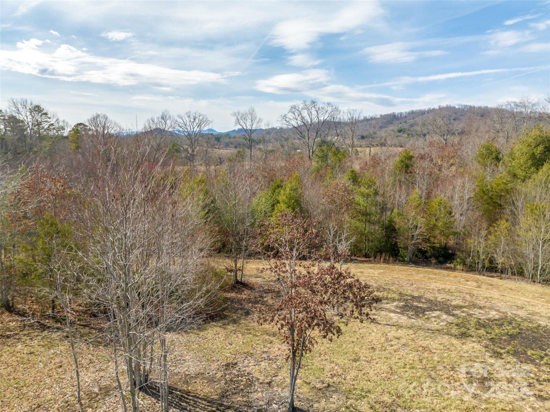 Property image 4 at 437 Pisgah Vista Road, Fletcher, NC 28732