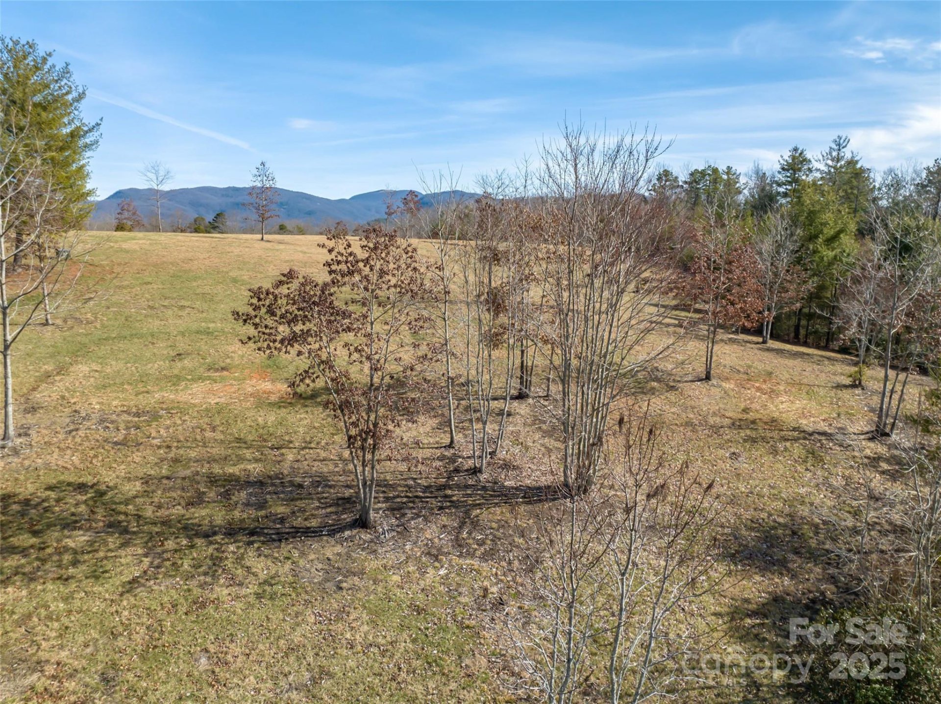Property image 5 at 437 Pisgah Vista Road, Fletcher, NC 28732