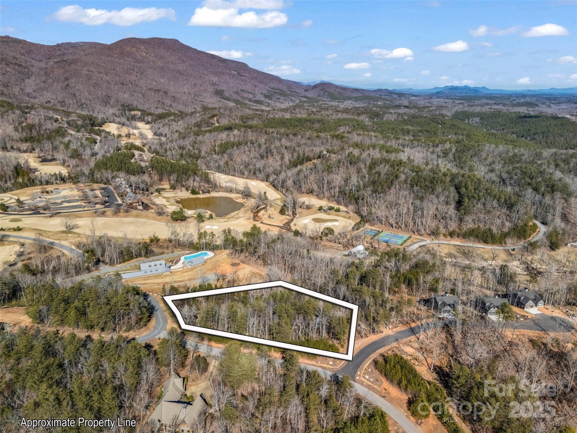 Property image 4 at 2002 Deep Gap Farm Road, Mill Spring, NC 28756