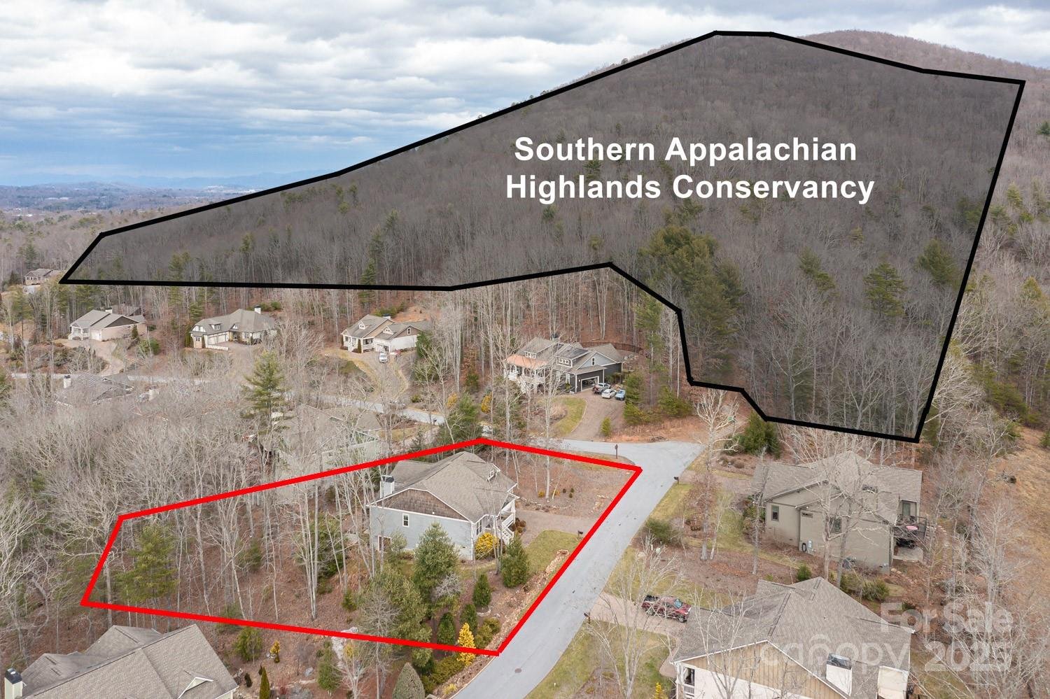 Property image 2 at 3 Green Drake Court, Candler, NC 28715