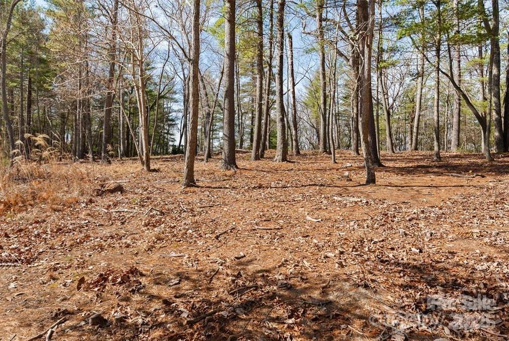 Property image 1 at 000 Cedar Hill Drive, Asheville, NC 28803