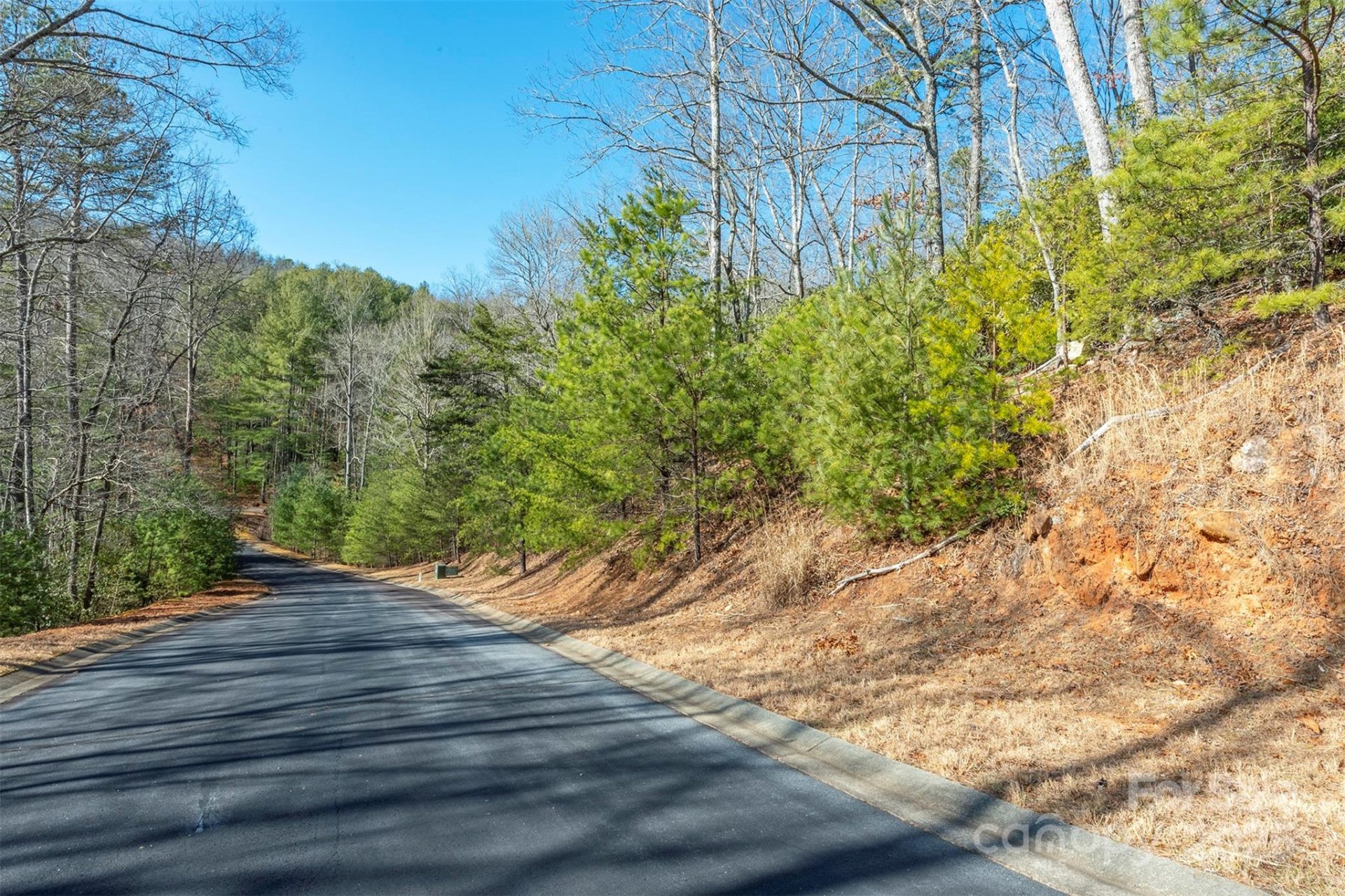 Property image 3 at 99999 Caddis Lane, Horse Shoe, NC 28742