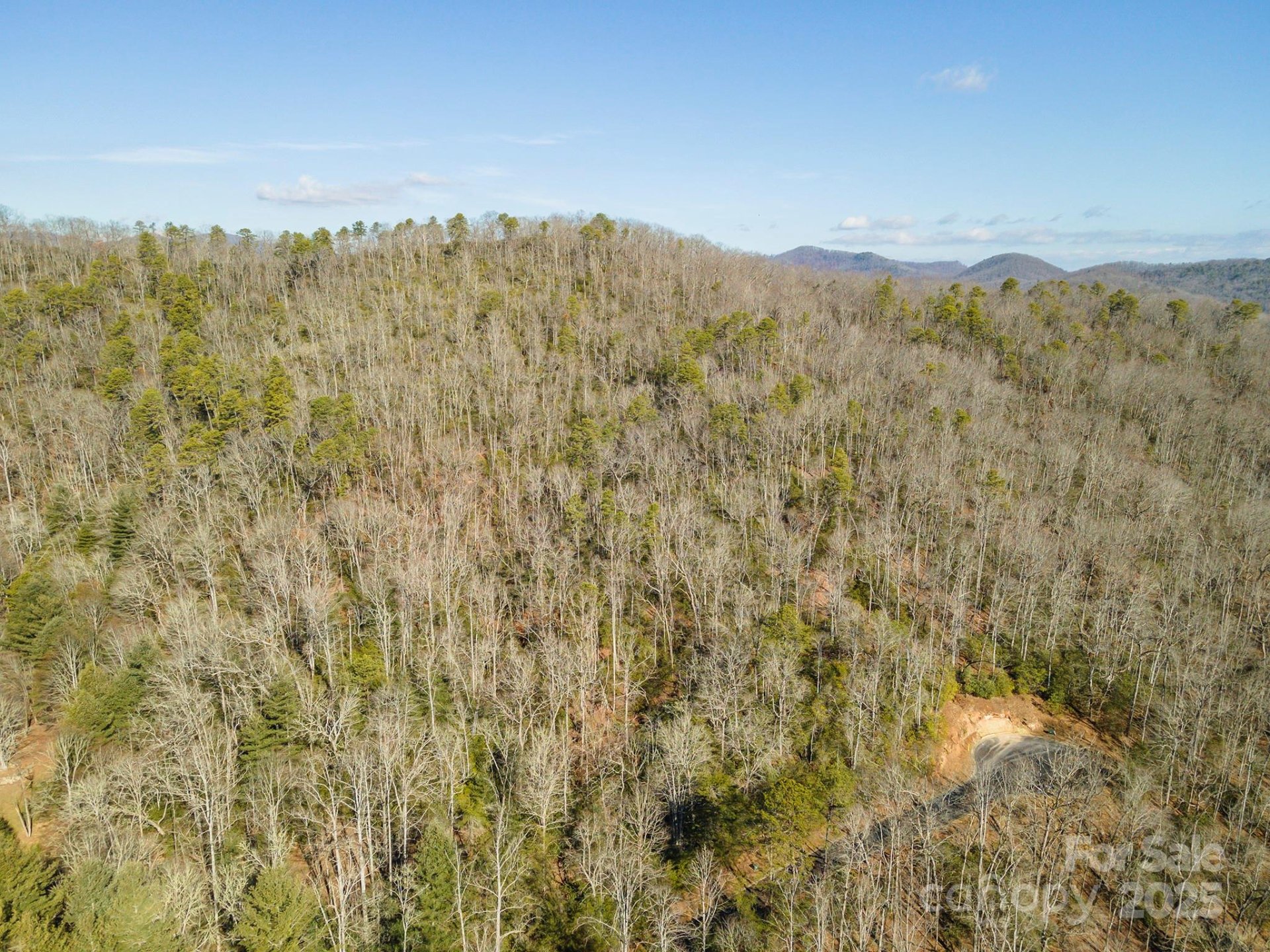 Property image 5 at 99999 Caddis Lane, Horse Shoe, NC 28742
