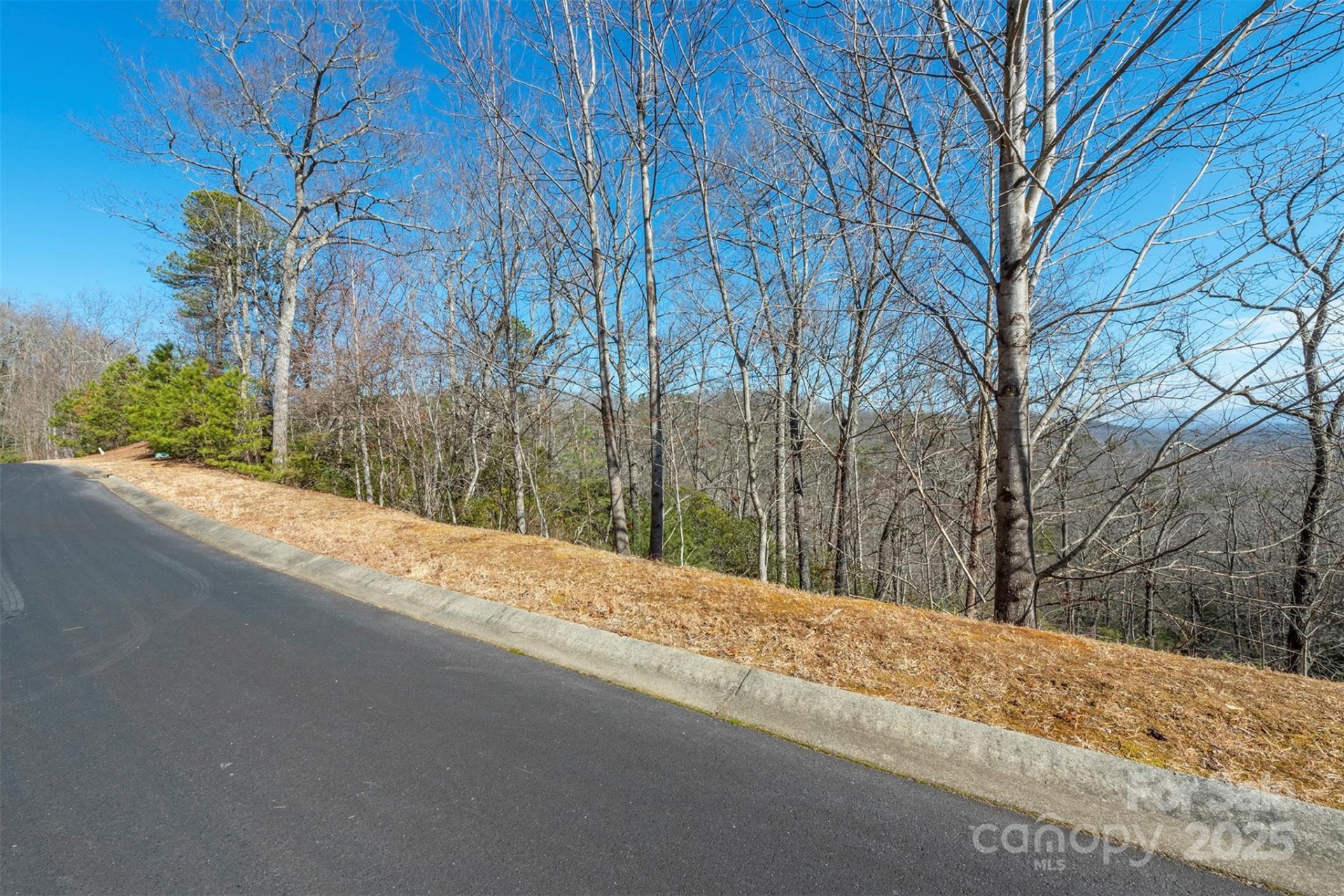 Property image 2 at 99999 Mills River Way, Horse Shoe, NC 28742