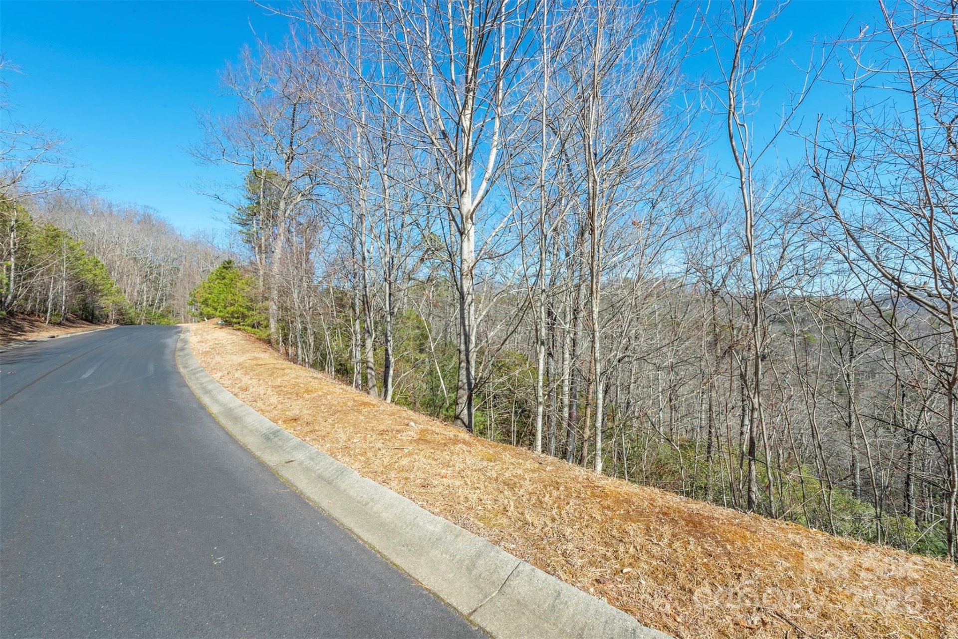 Property image 3 at 99999 Mills River Way, Horse Shoe, NC 28742
