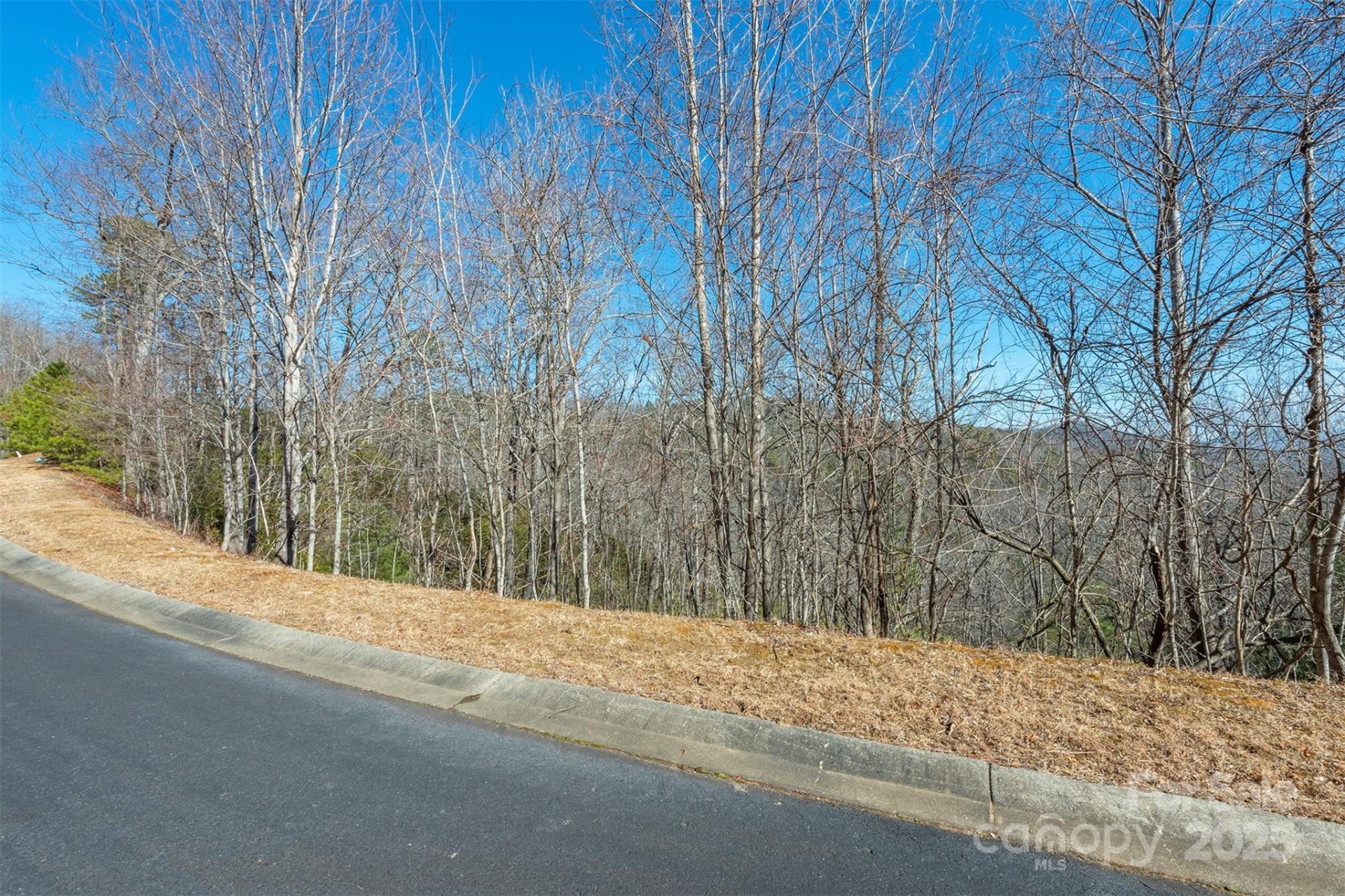 Property image 4 at 99999 Mills River Way, Horse Shoe, NC 28742