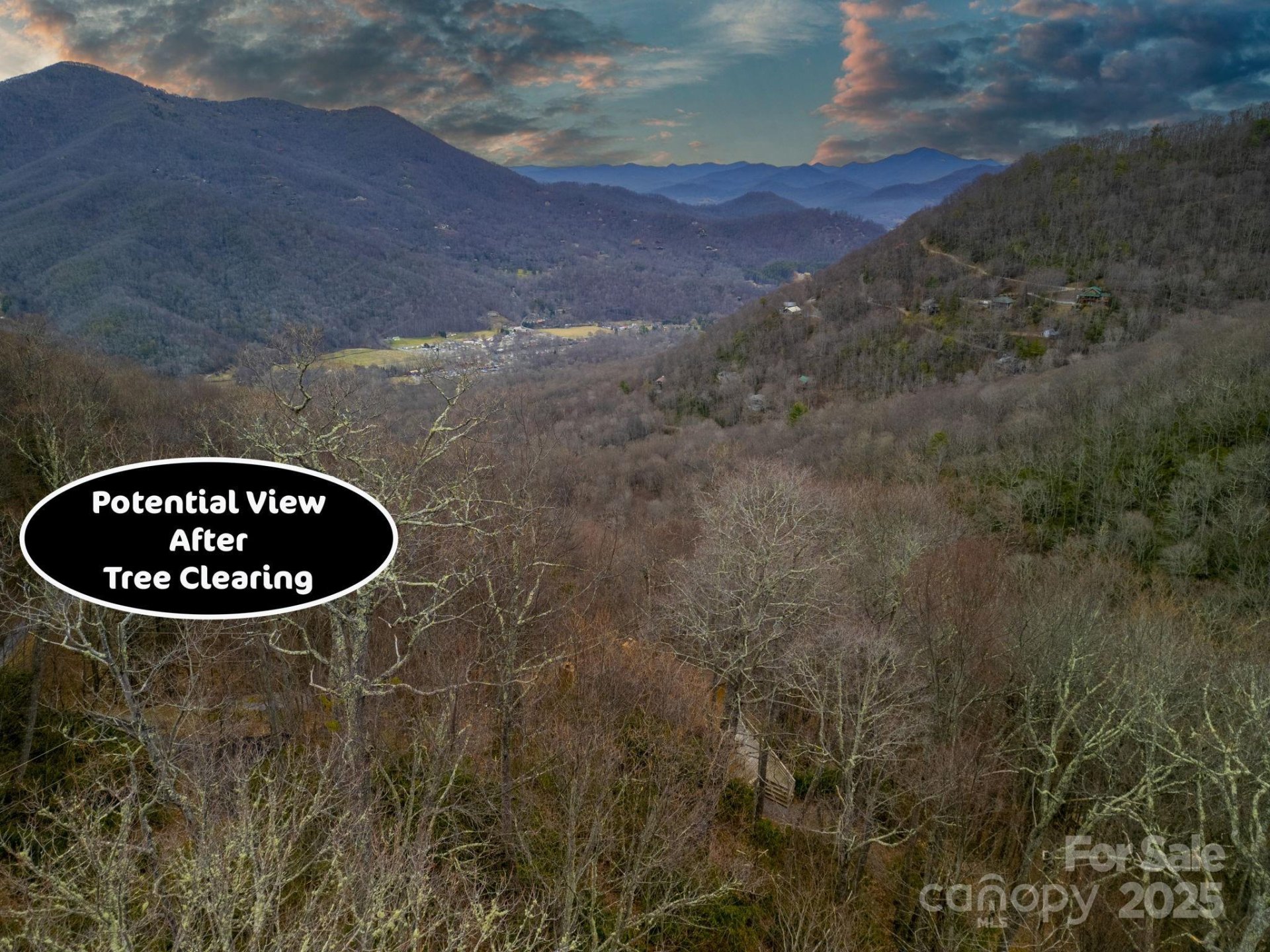 Property image 3 at 43 Blackbird Lane, Maggie Valley, NC 28751