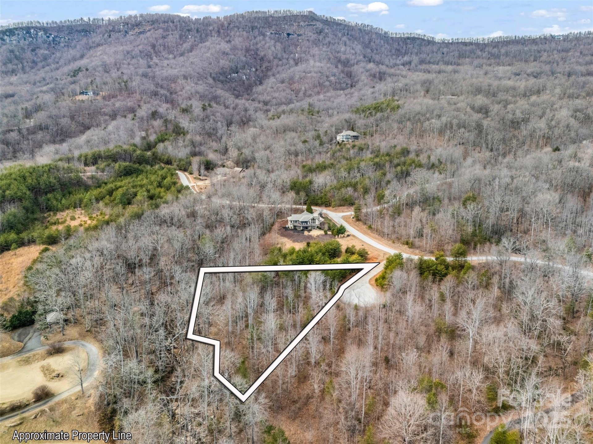 Property image 4 at 146 Wee Burn Cove, Mill Spring, NC 28756