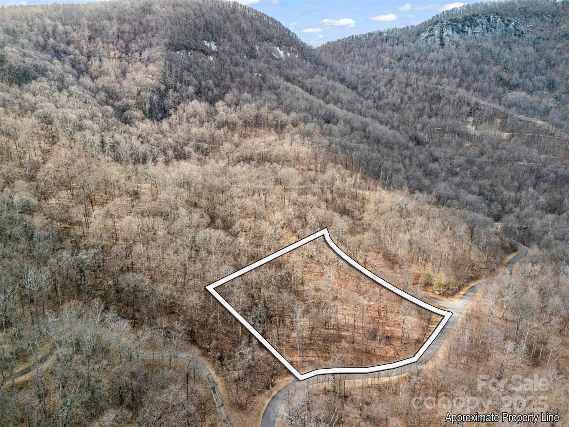 Property image 3 at 2128 Harm Creek Loop, Mill Spring, NC 28756