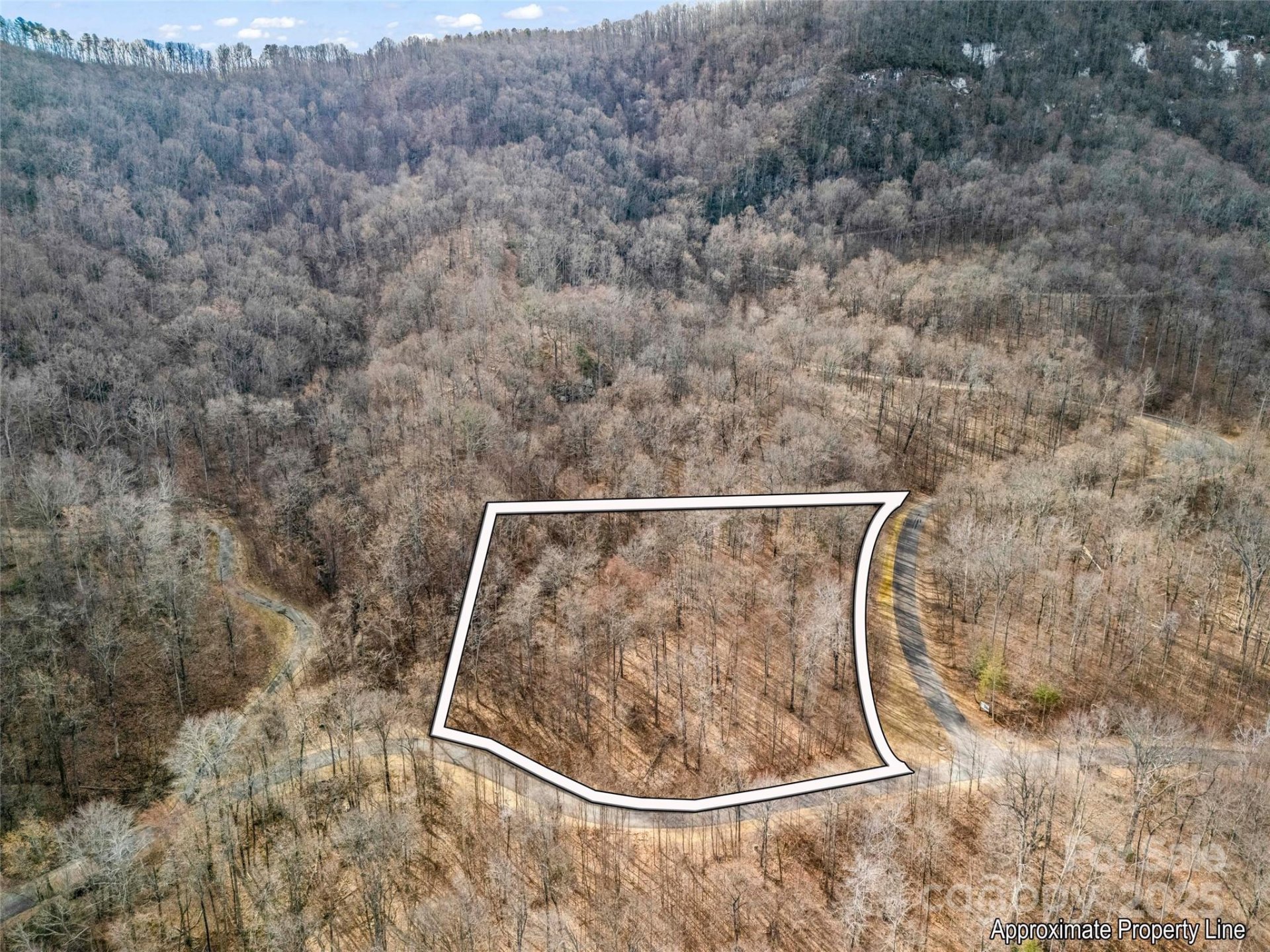Property image 4 at 2128 Harm Creek Loop, Mill Spring, NC 28756