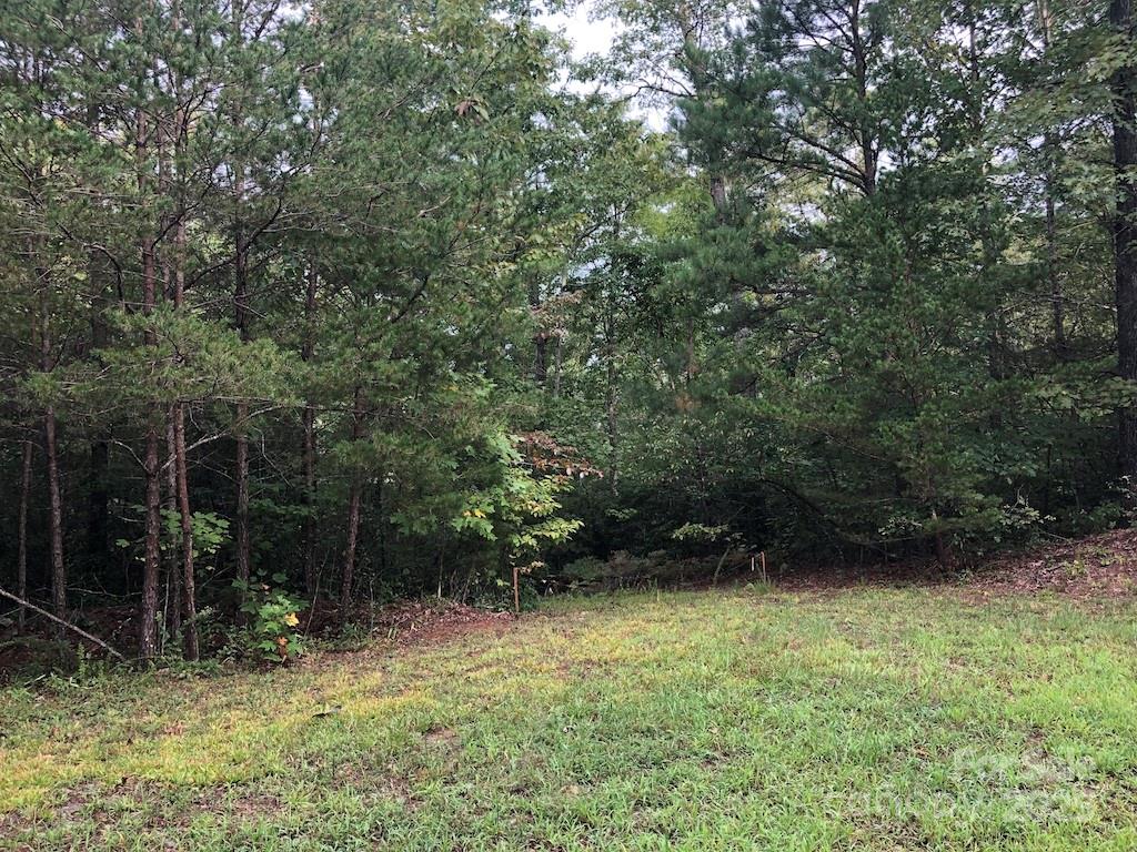 Property image 3 at 81 N Mill Ridge, Nebo, NC 28761