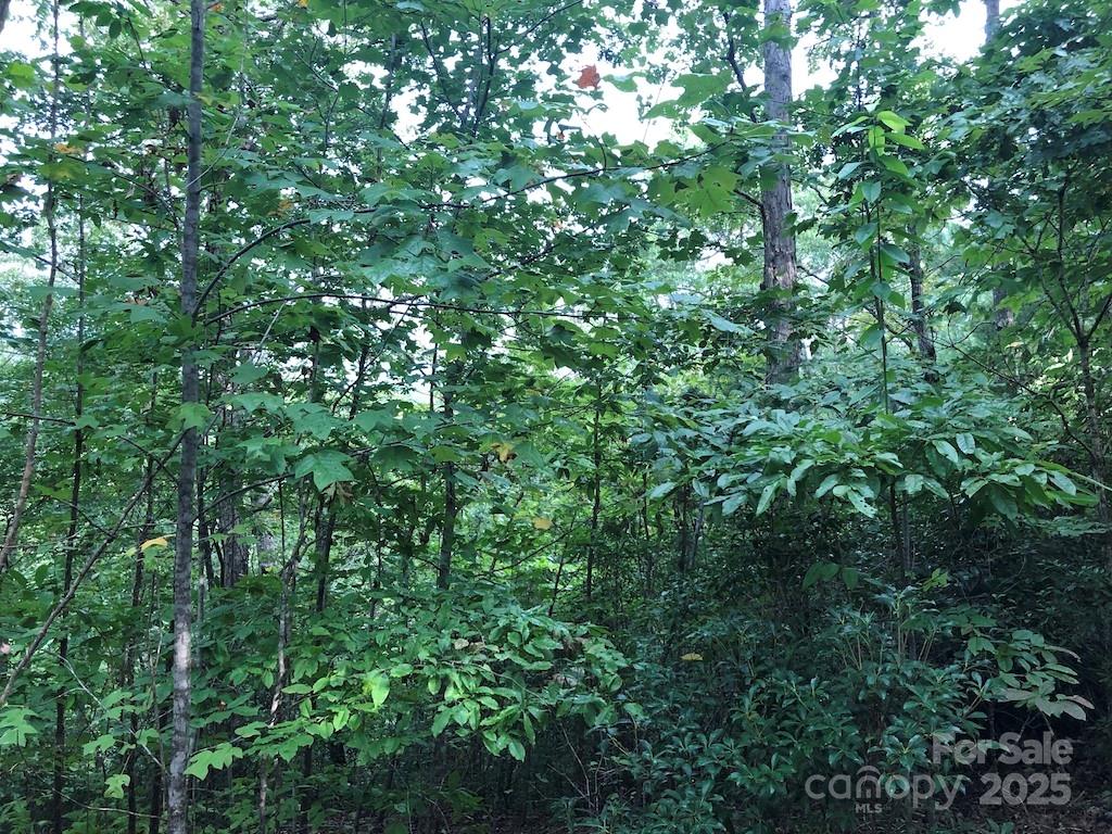 Property image 5 at 81 N Mill Ridge, Nebo, NC 28761