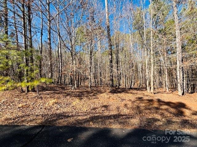 Property image 2 at 0 Creekside Circle, Rutherfordton, NC 28139
