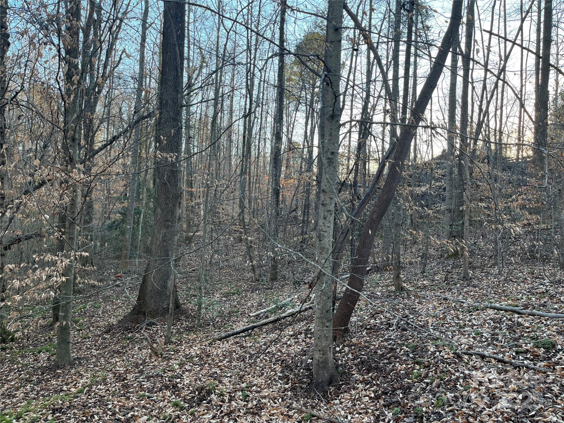 Westgate, Rutherfordton Community