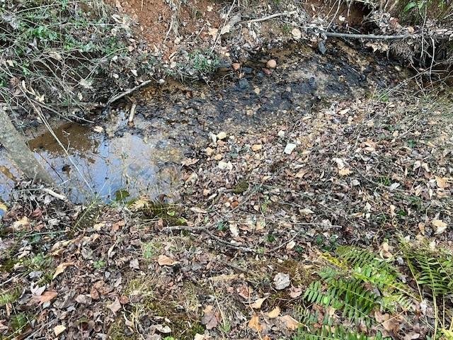 Property image 5 at 0 Chisholm Trail, Rutherfordton, NC 28139