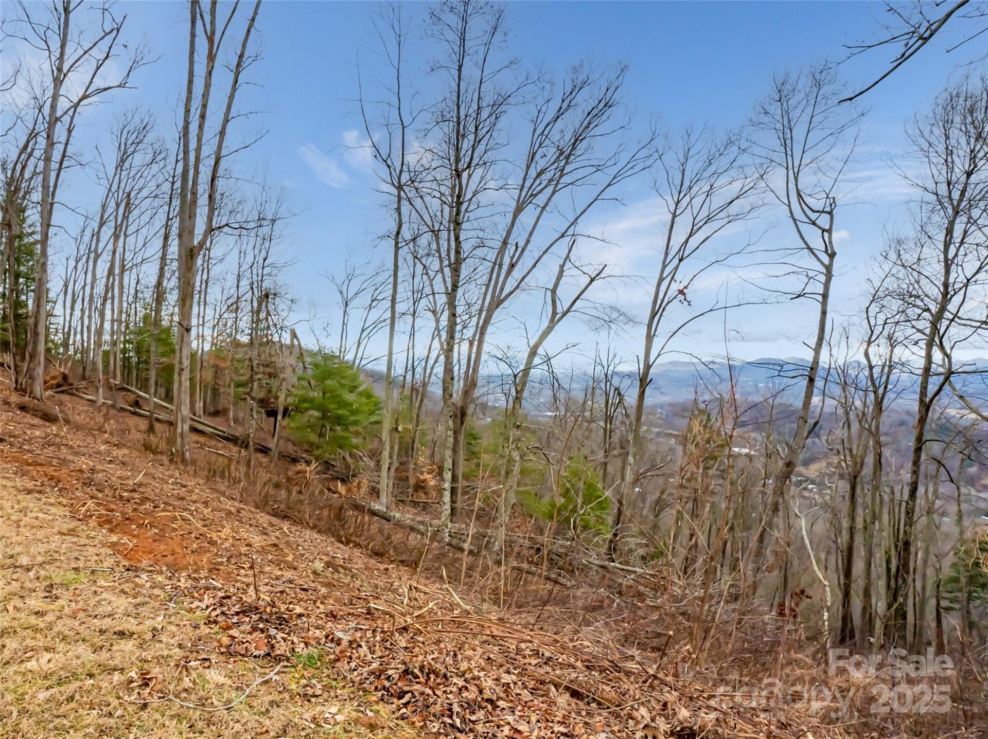 99999 Serenity Ridge Trail