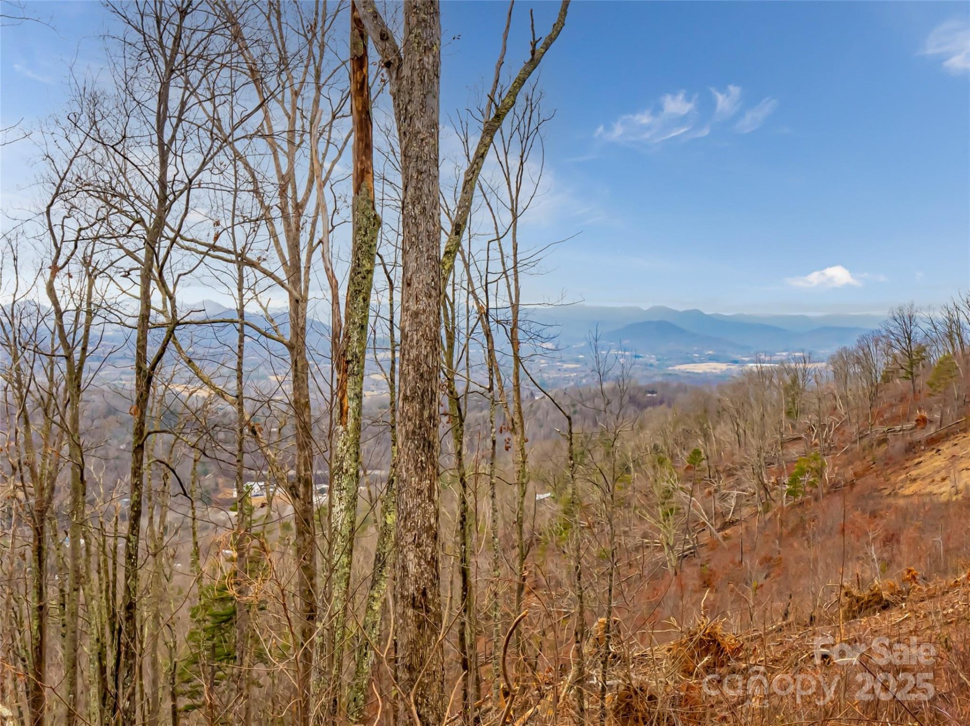 Property image 2 at 99999 Serenity Ridge Trail, Asheville, NC 28804