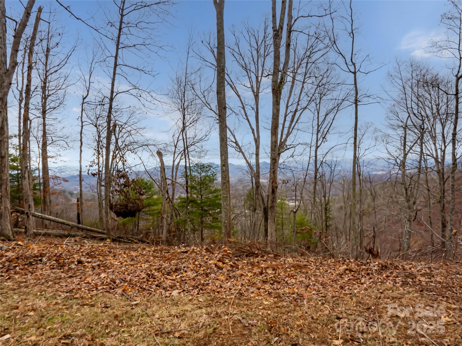 Property image 4 at 99999 Serenity Ridge Trail, Asheville, NC 28804