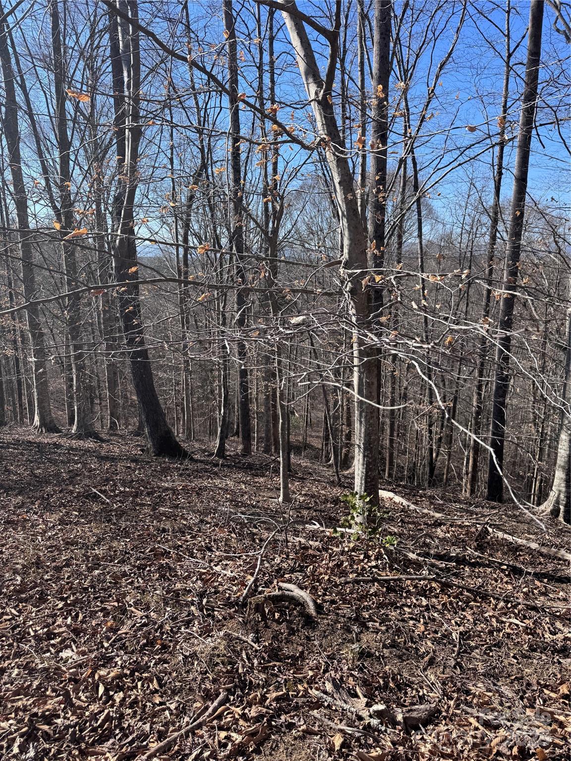 Property image 2 at 0 Cross Creek Drive, Rutherfordton, NC 28139