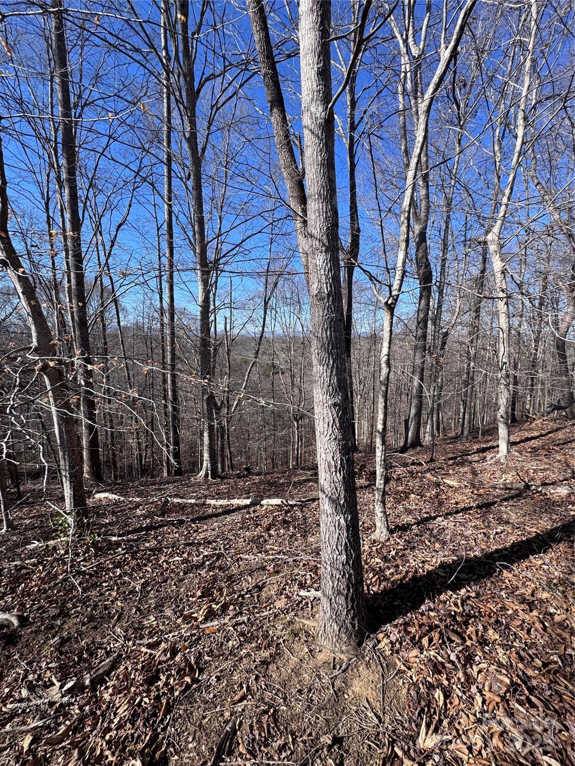 Property image 3 at 0 Cross Creek Drive, Rutherfordton, NC 28139