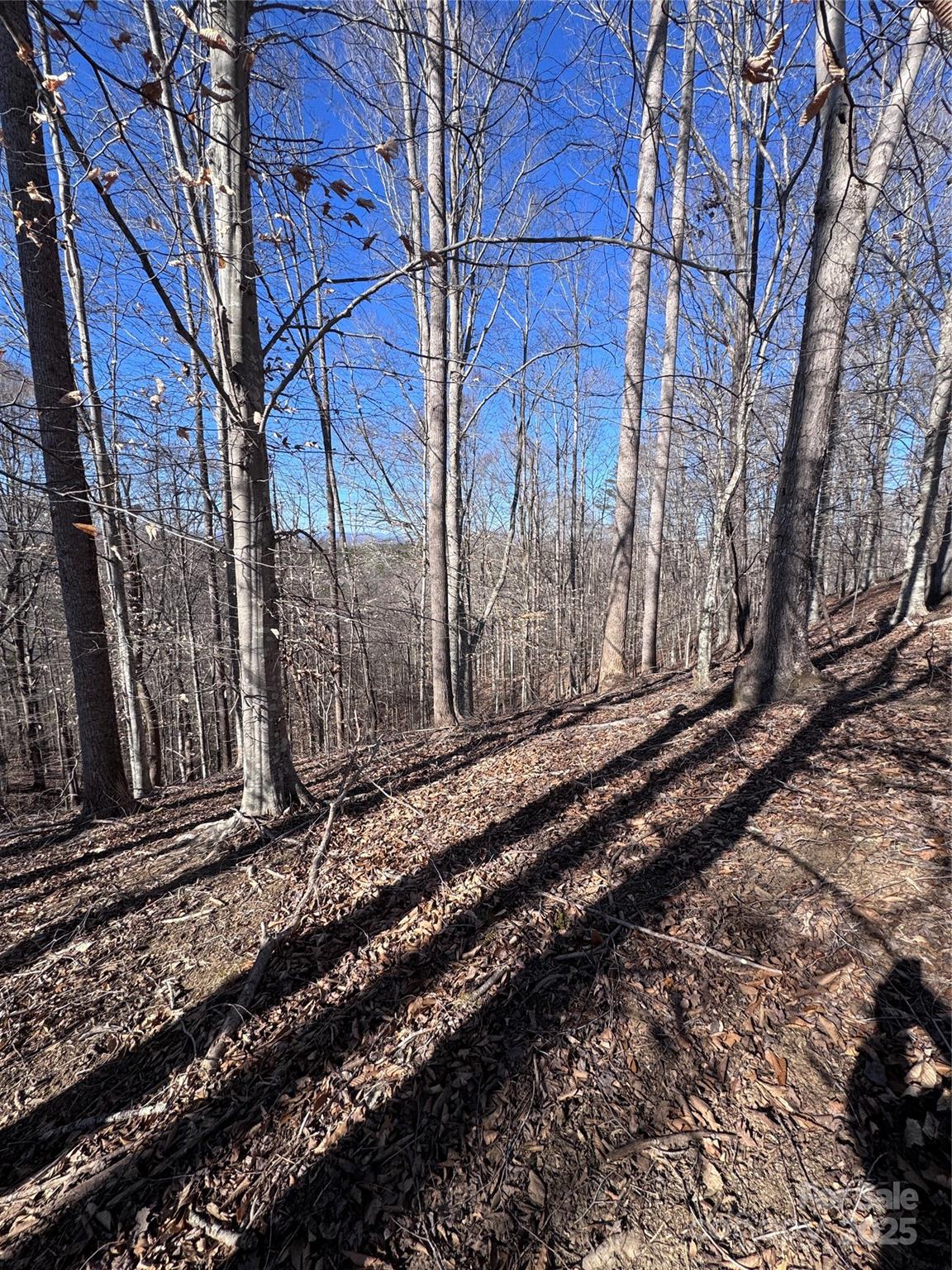 Property image 5 at 0 Cross Creek Drive, Rutherfordton, NC 28139