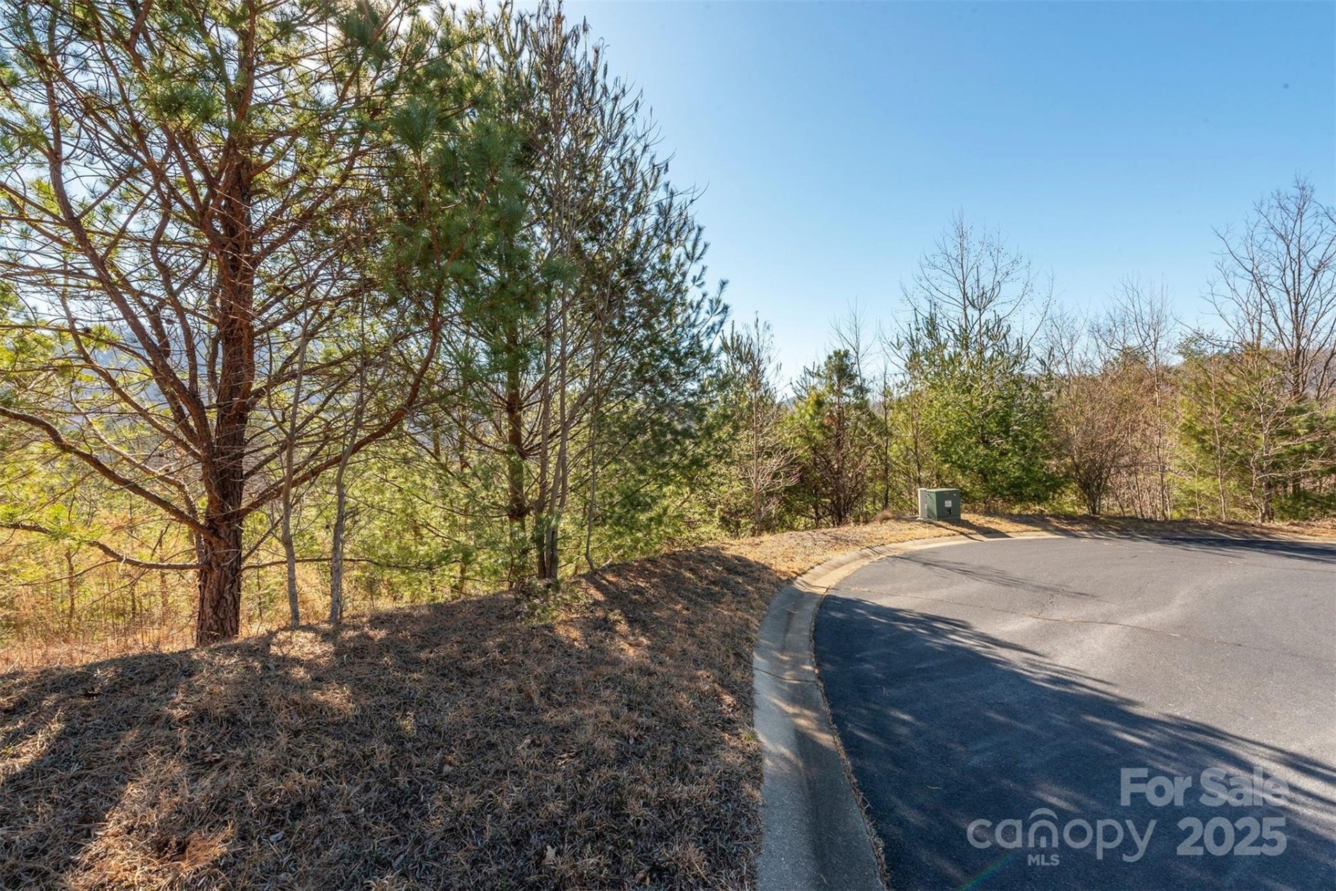 Property image 2 at 99999 Woodhen Way, Horse Shoe, NC 28742