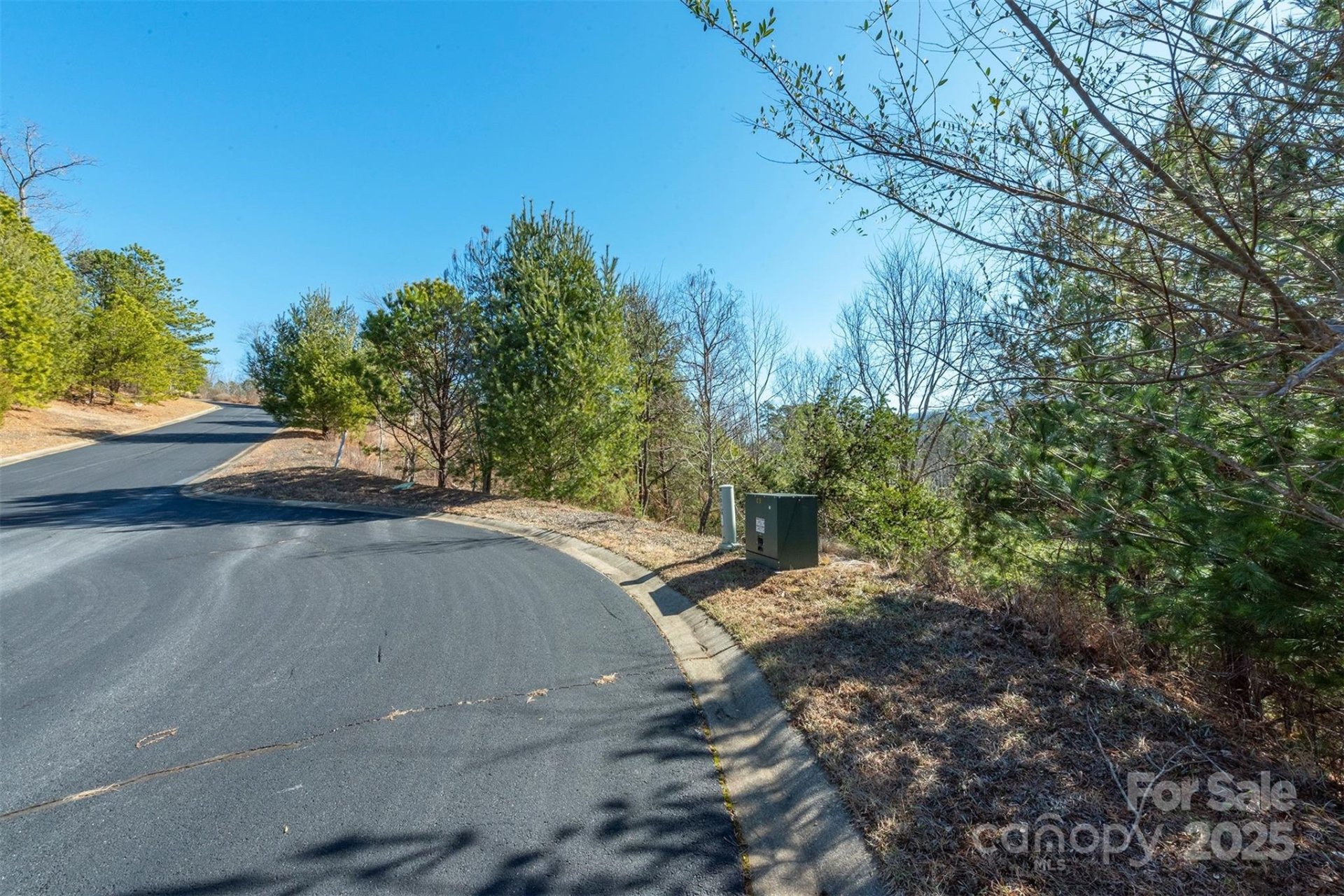 Property image 3 at 99999 Woodhen Way, Horse Shoe, NC 28742