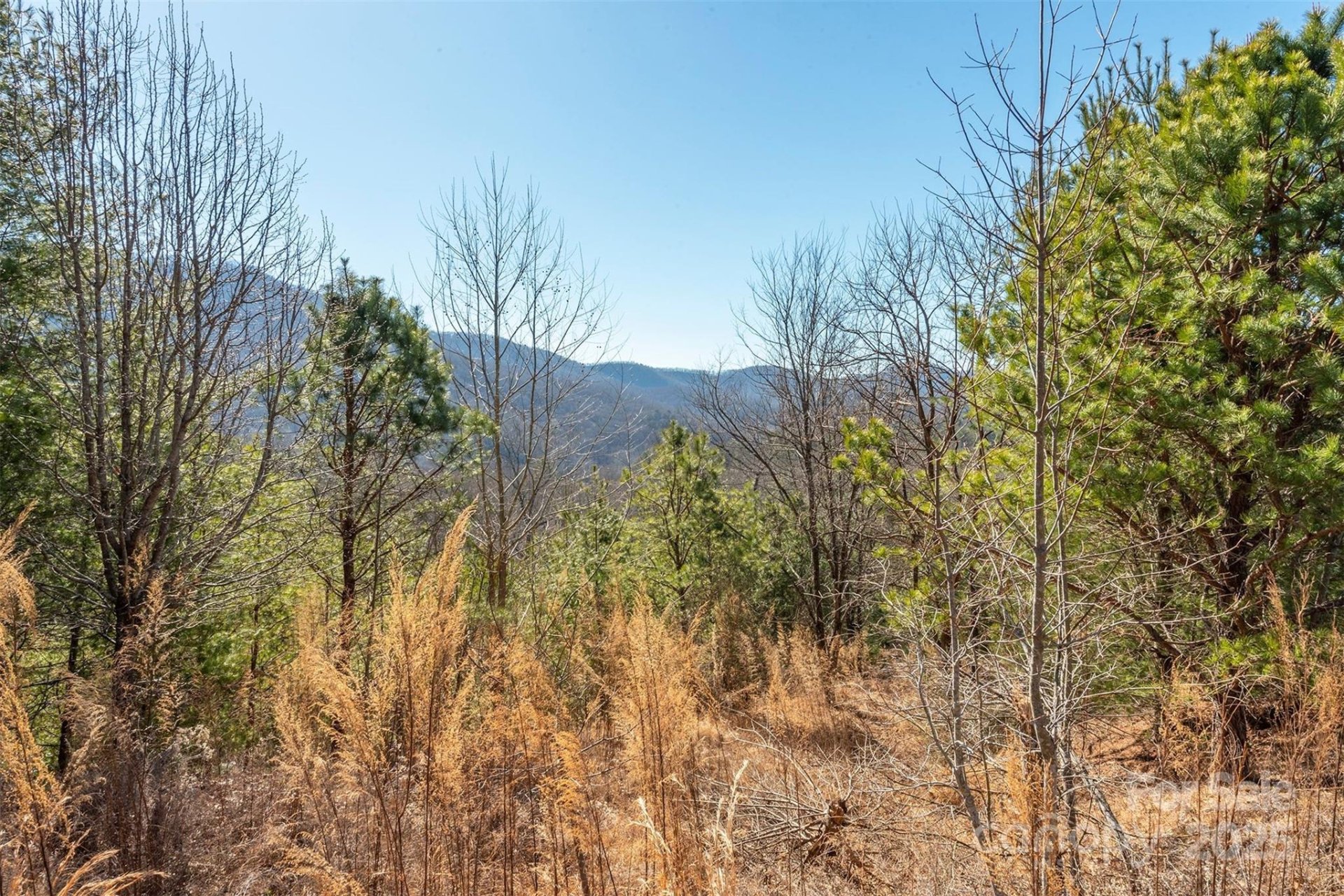 Property image 4 at 99999 Woodhen Way, Horse Shoe, NC 28742