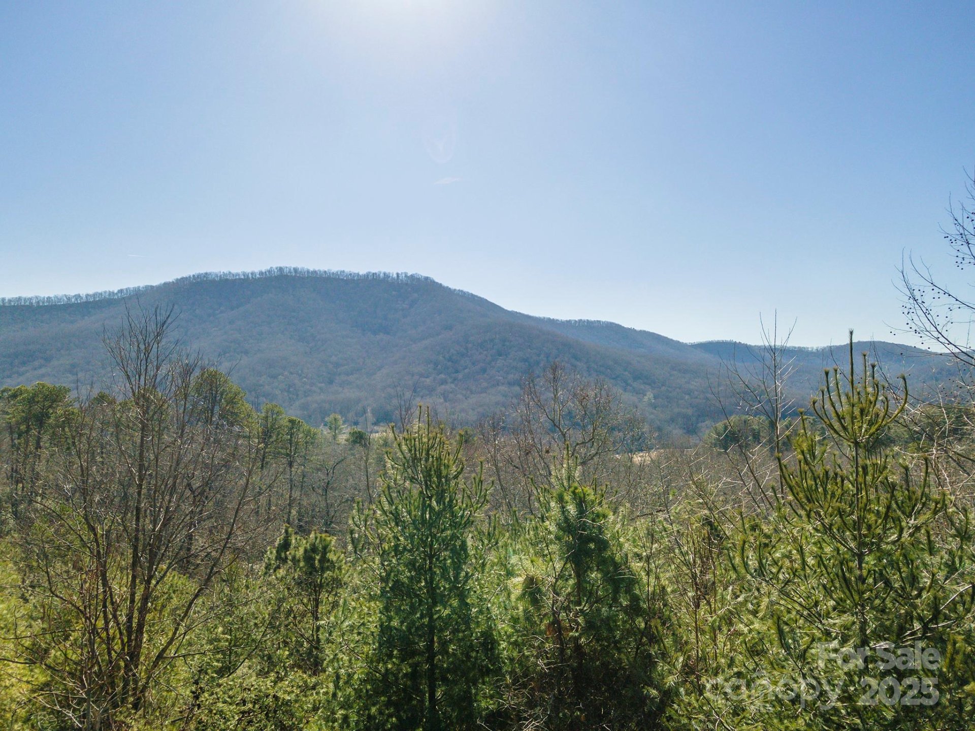 Property image 5 at 99999 Woodhen Way, Horse Shoe, NC 28742