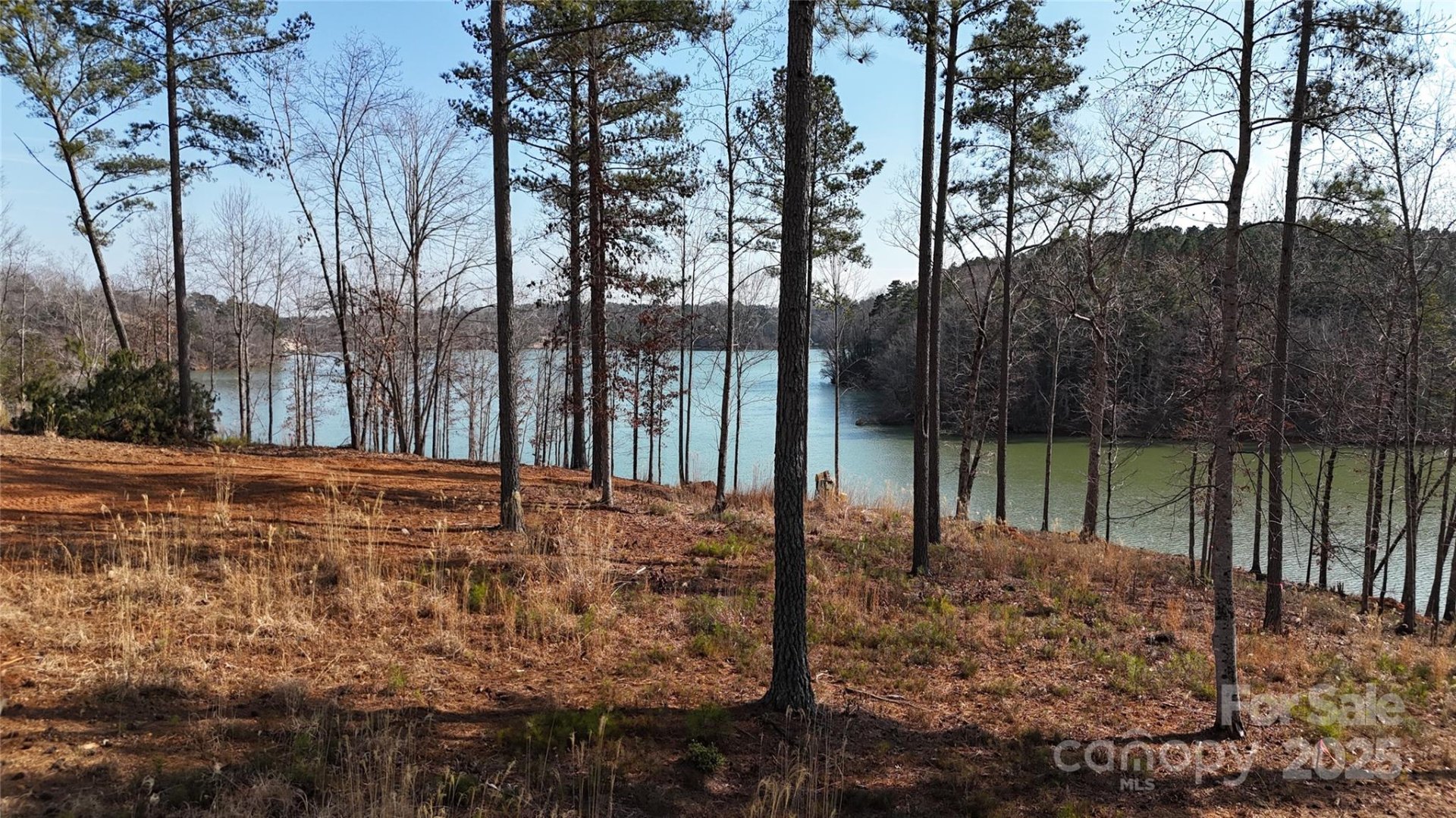 Property image 5 at 2372 Princeton Mountain None, Connelly Springs, NC 28612