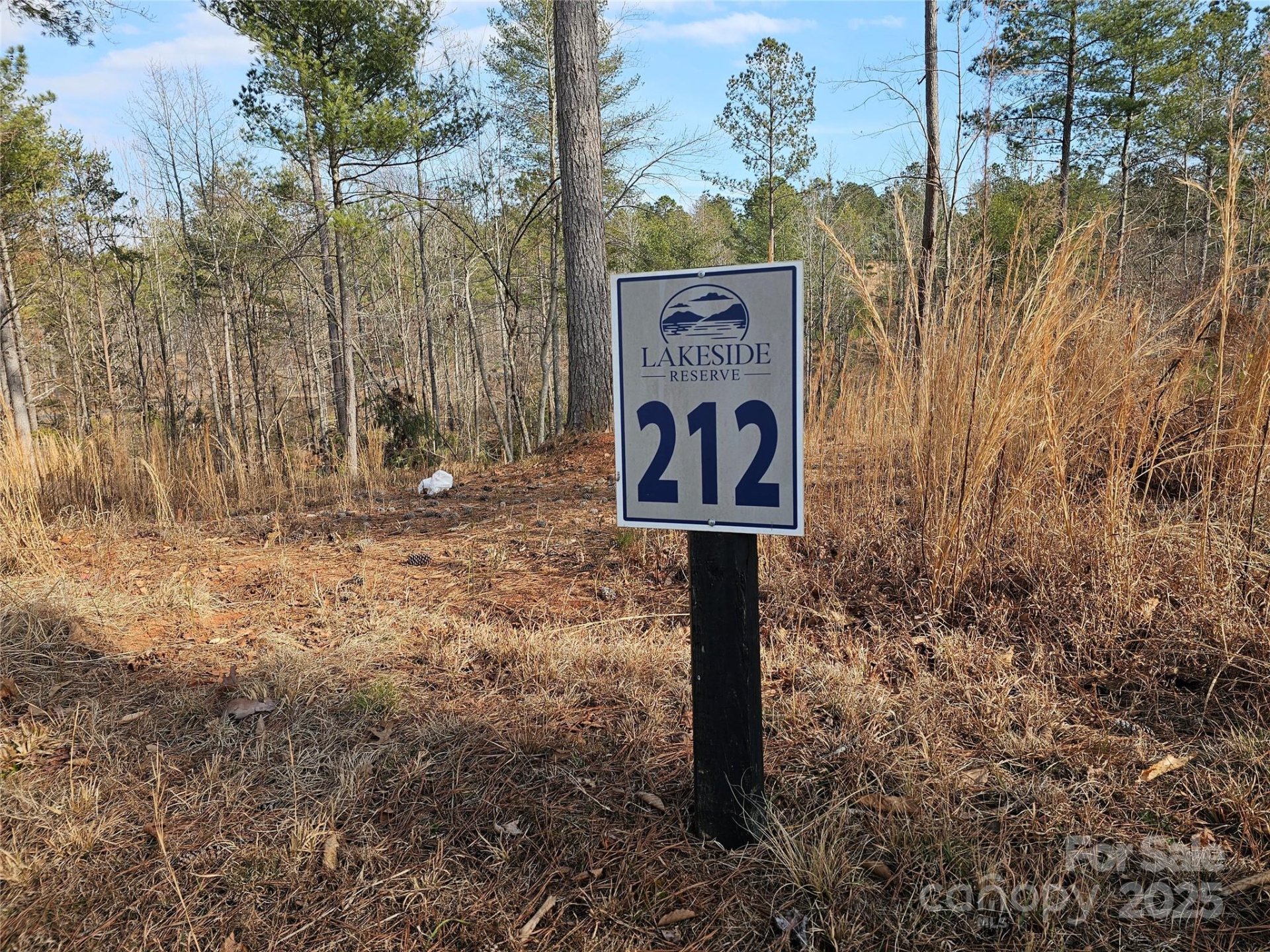 Property image 2 at 3318 Pyramid Peak Trail, Connelly Springs, NC 28612