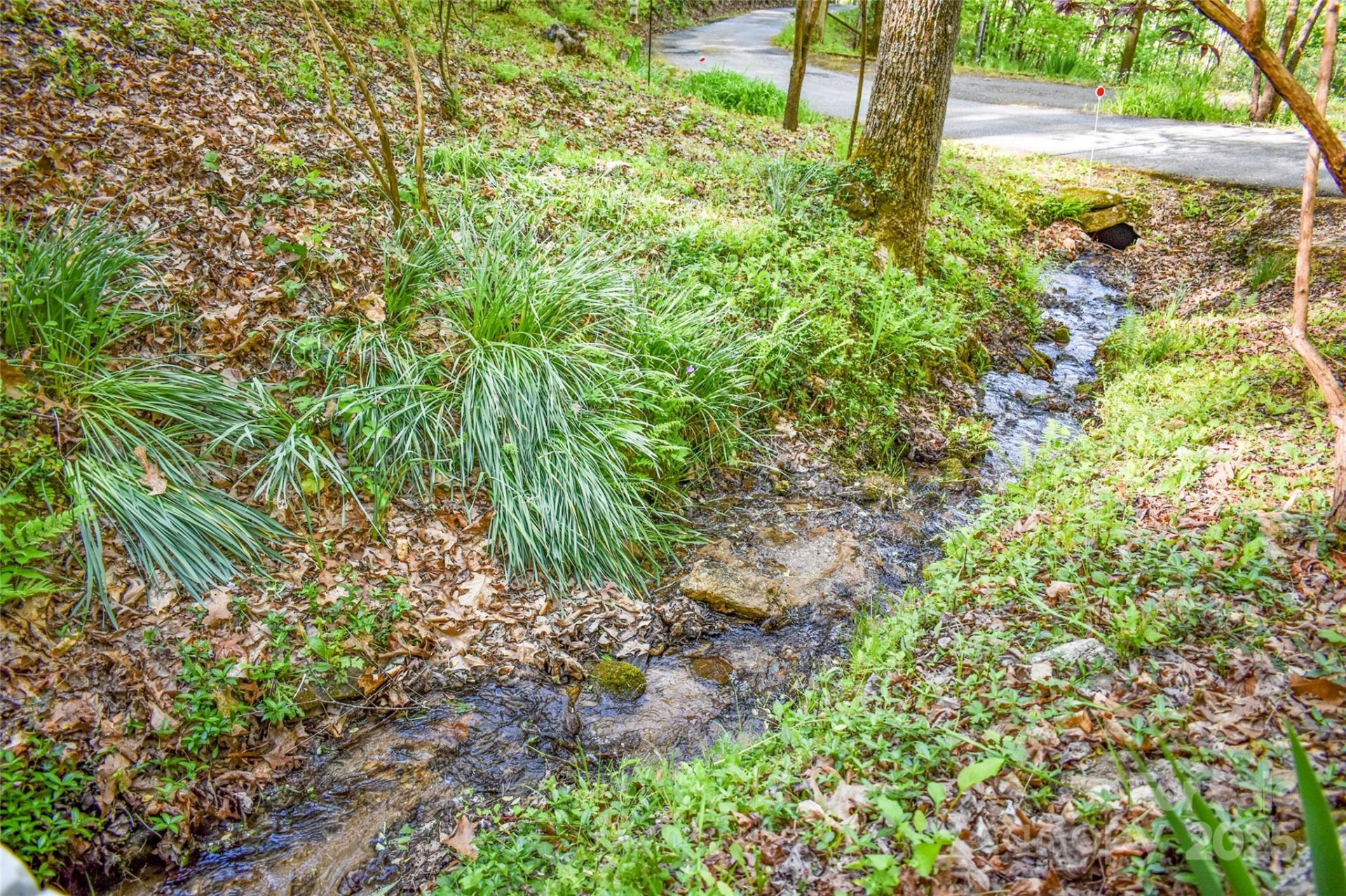 Property image 3 at 12 Bear Cove Lane, Bryson City, NC 28713