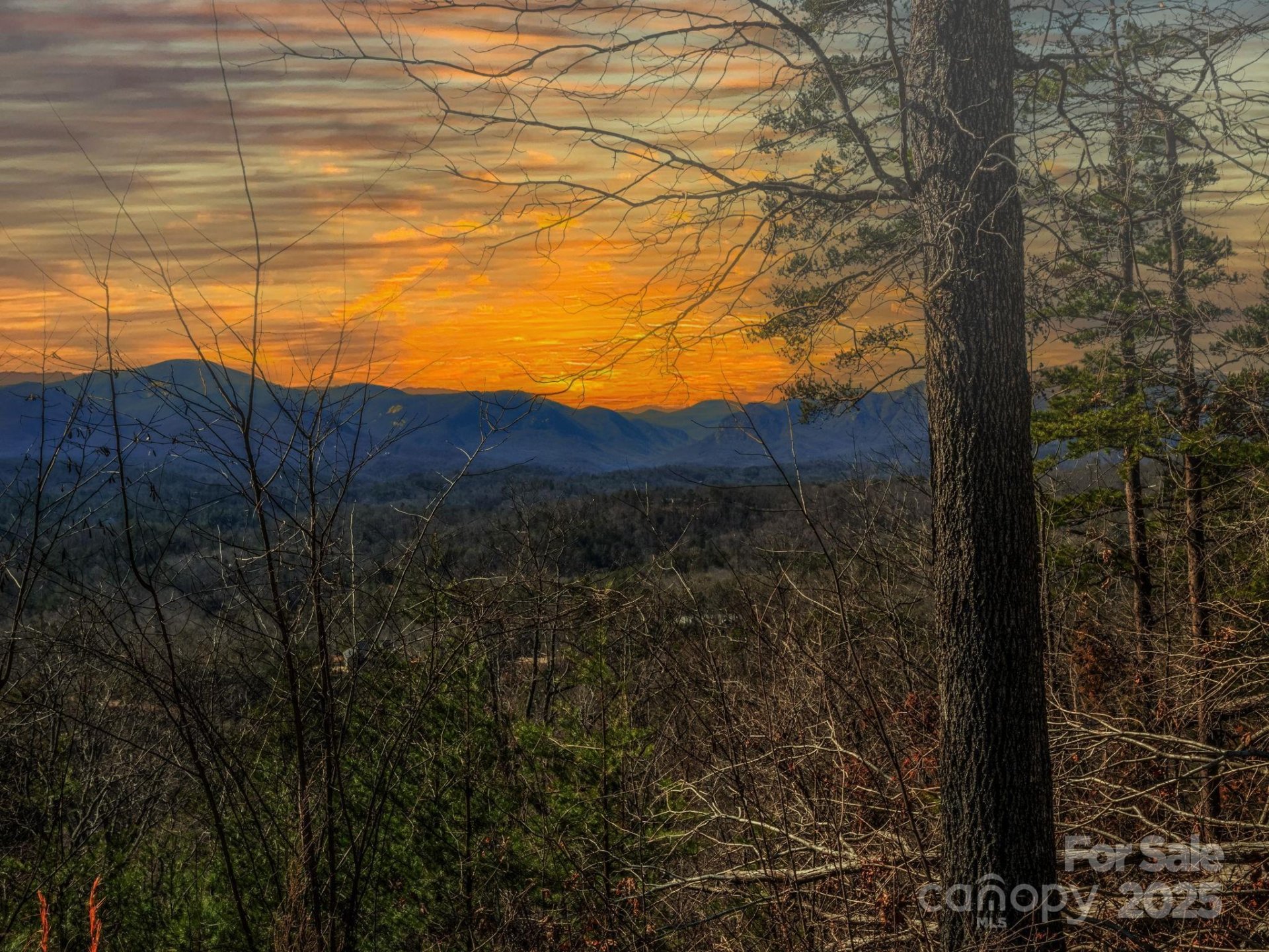 Property image 2 at 0 Bills Mountain Trail, Lake Lure, NC 28746