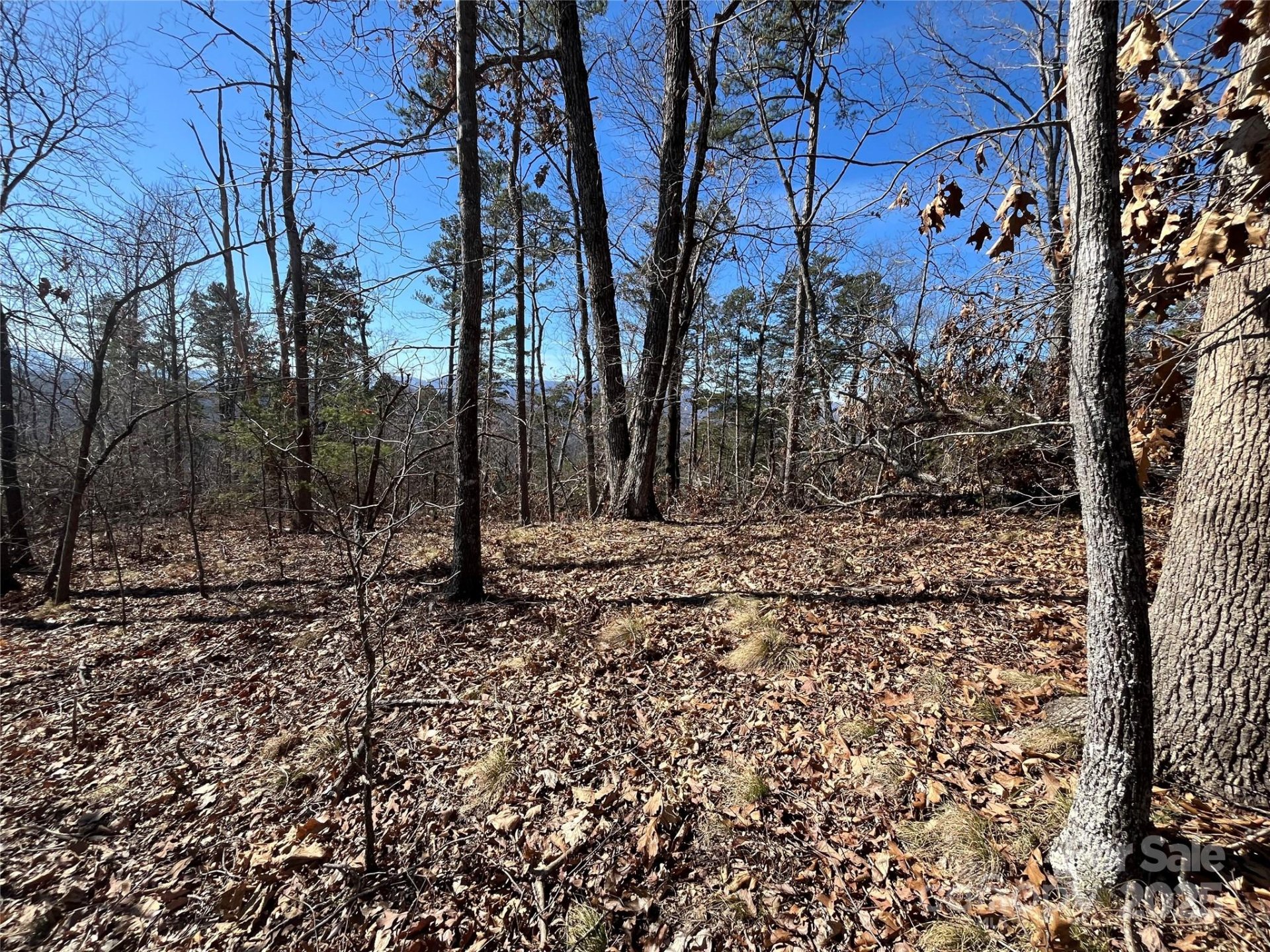 Property image 3 at 0 Bills Mountain Trail, Lake Lure, NC 28746