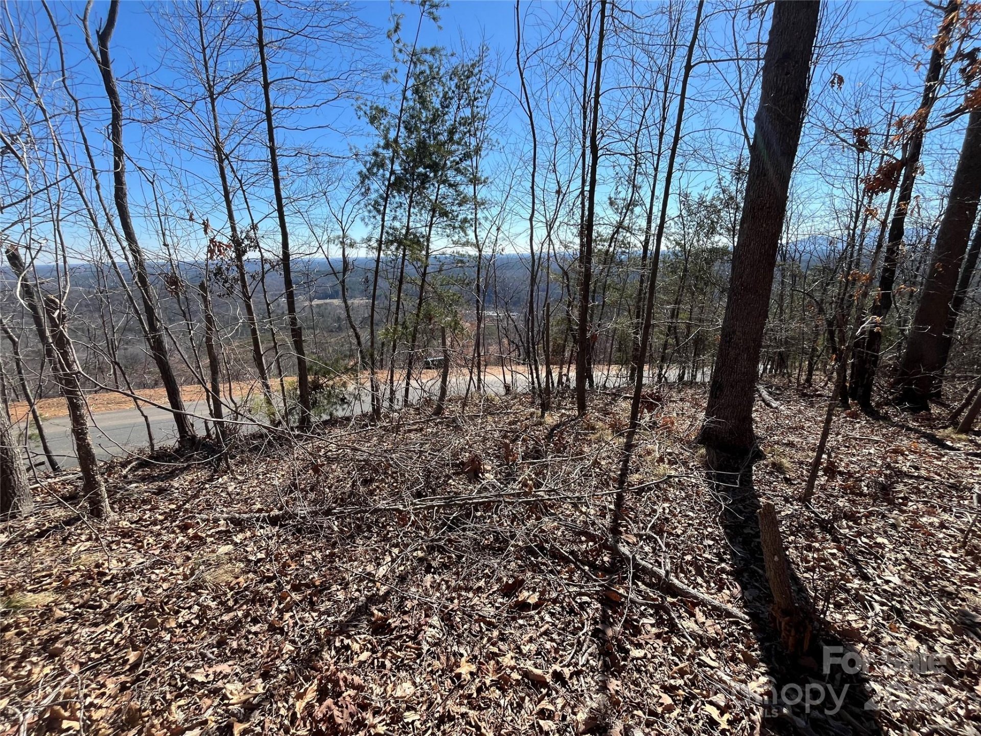 Property image 4 at 0 Bills Mountain Trail, Lake Lure, NC 28746