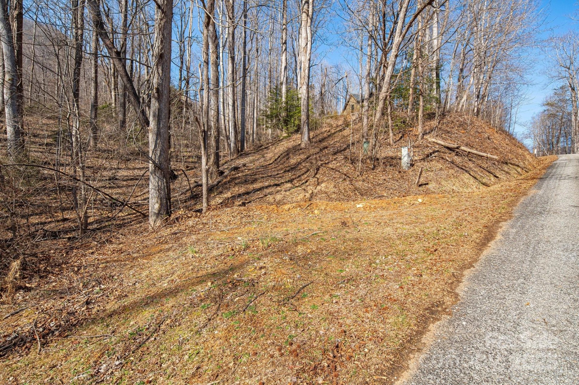 Property image 2 at 000 Blue Ridge Drive, Marion, NC 28752
