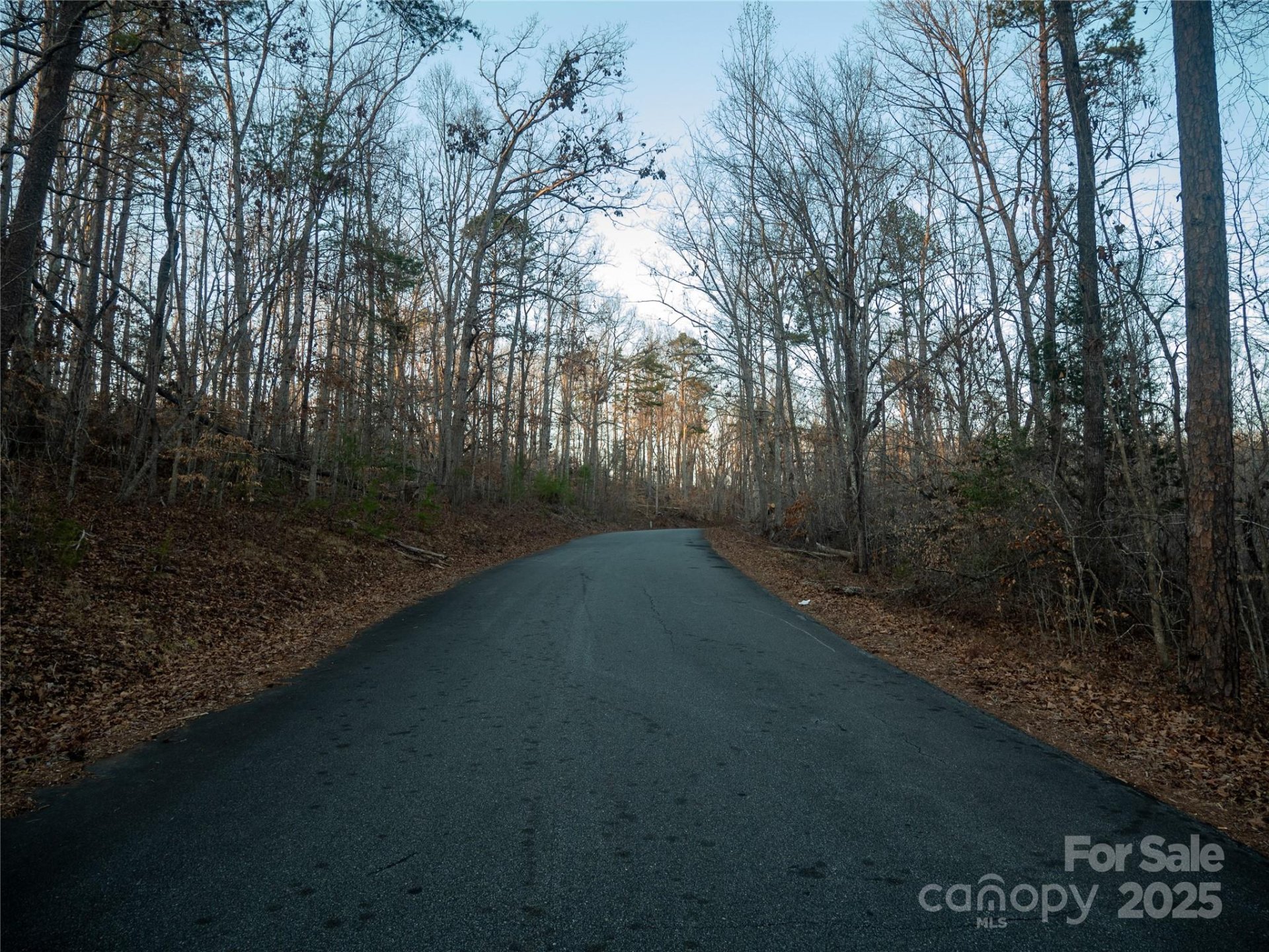 Property image 2 at 0 Plantation Drive, Rutherfordton, NC 28139