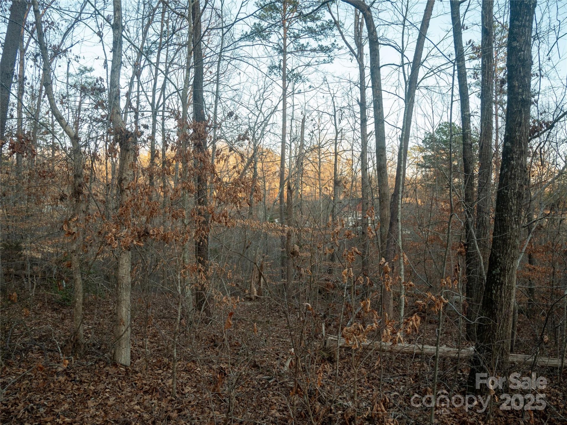Property image 3 at 0 Plantation Drive, Rutherfordton, NC 28139