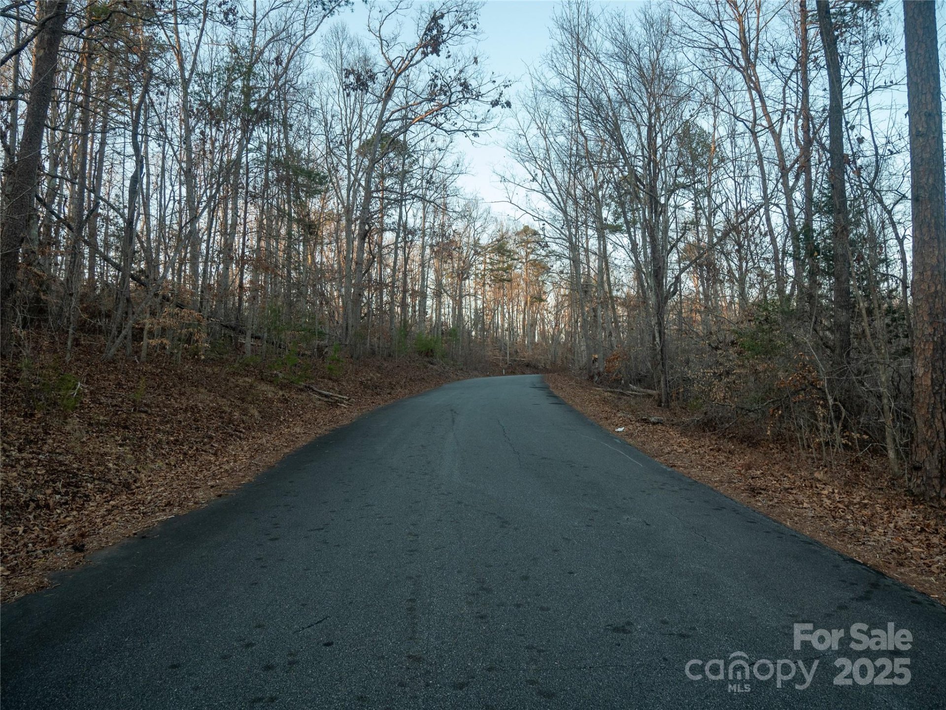 Property image 5 at 0 Plantation Drive, Rutherfordton, NC 28139