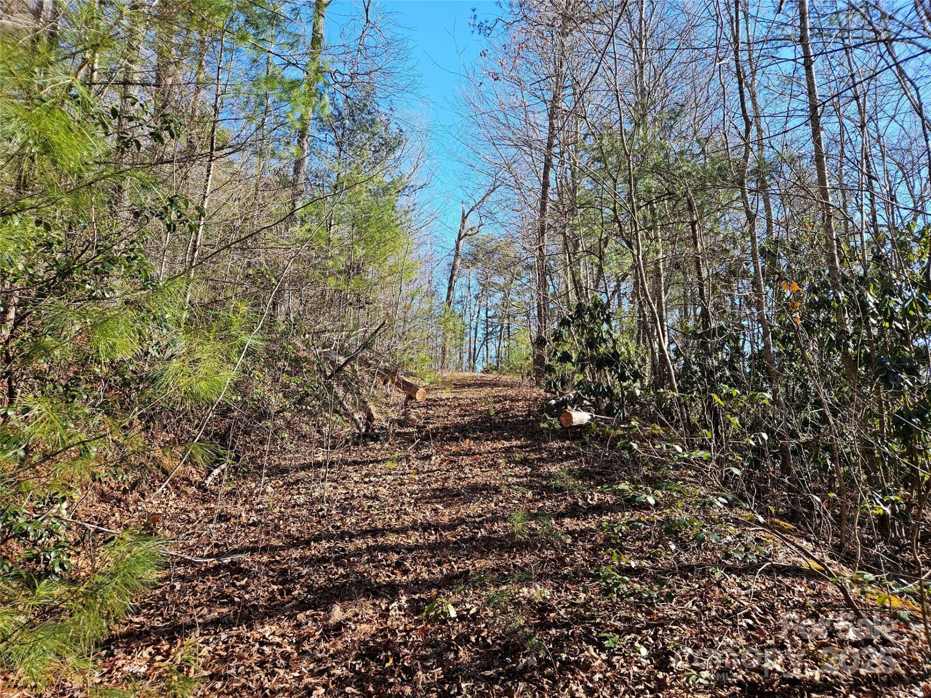 Property image 3 at 00 Wispy Willow Drive, Waynesville, NC 28785