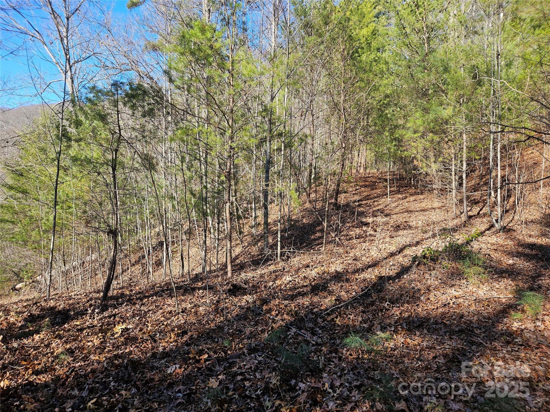Property image 4 at 00 Wispy Willow Drive, Waynesville, NC 28785