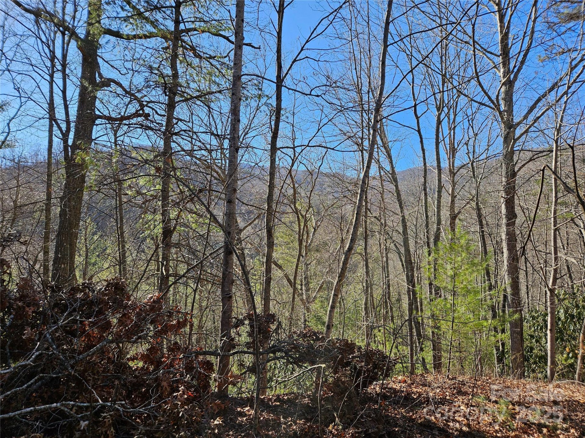 Property image 5 at 00 Wispy Willow Drive, Waynesville, NC 28785