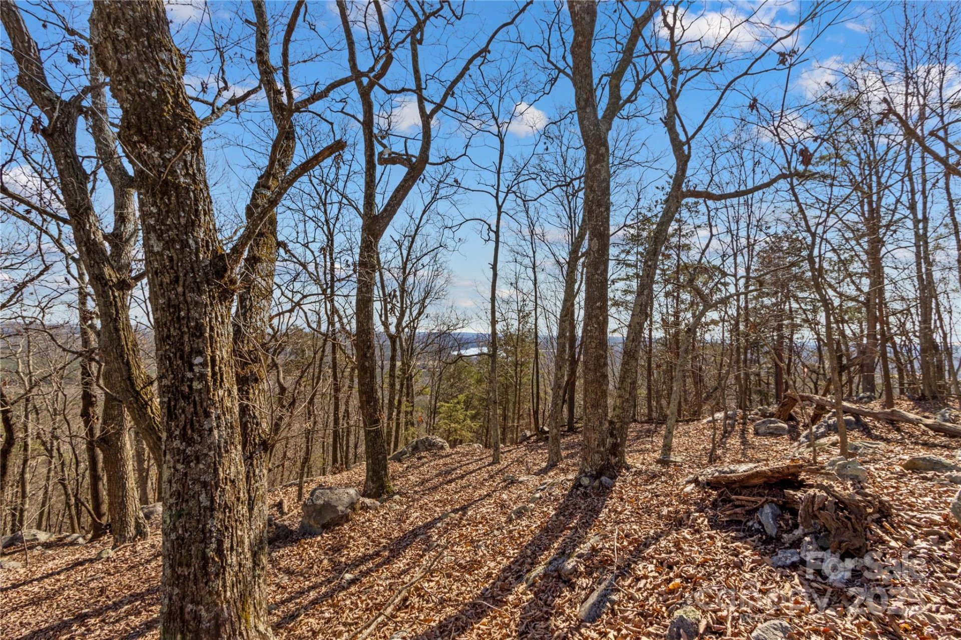Property image 3 at 1026 Sierra Trace Road, Denton, NC 27239