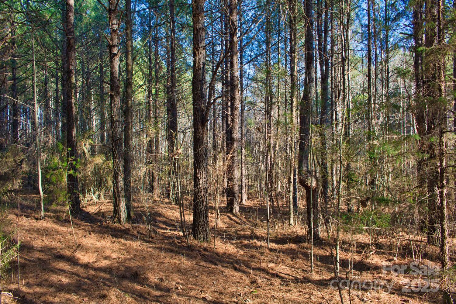 Property image 4 at 0 Clearwater Parkway, Rutherfordton, NC 28139