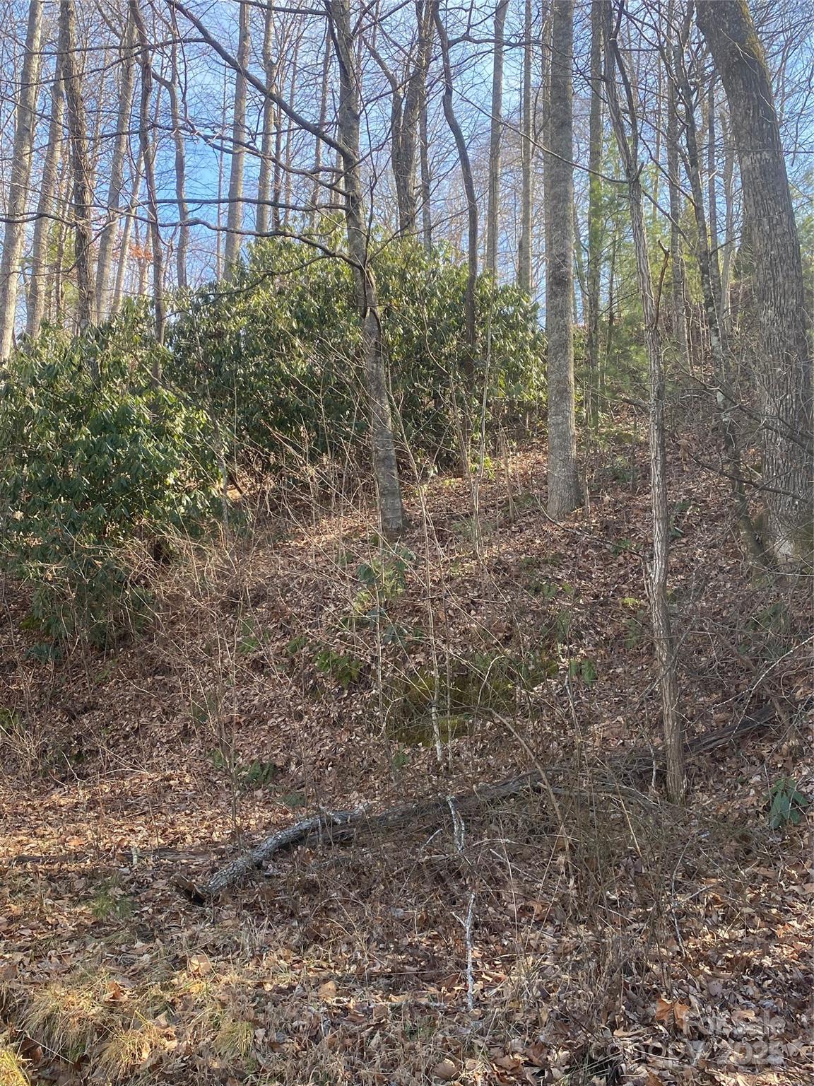Property image 3 at 131 Eagles Eye Drive, Hendersonville, NC 28792