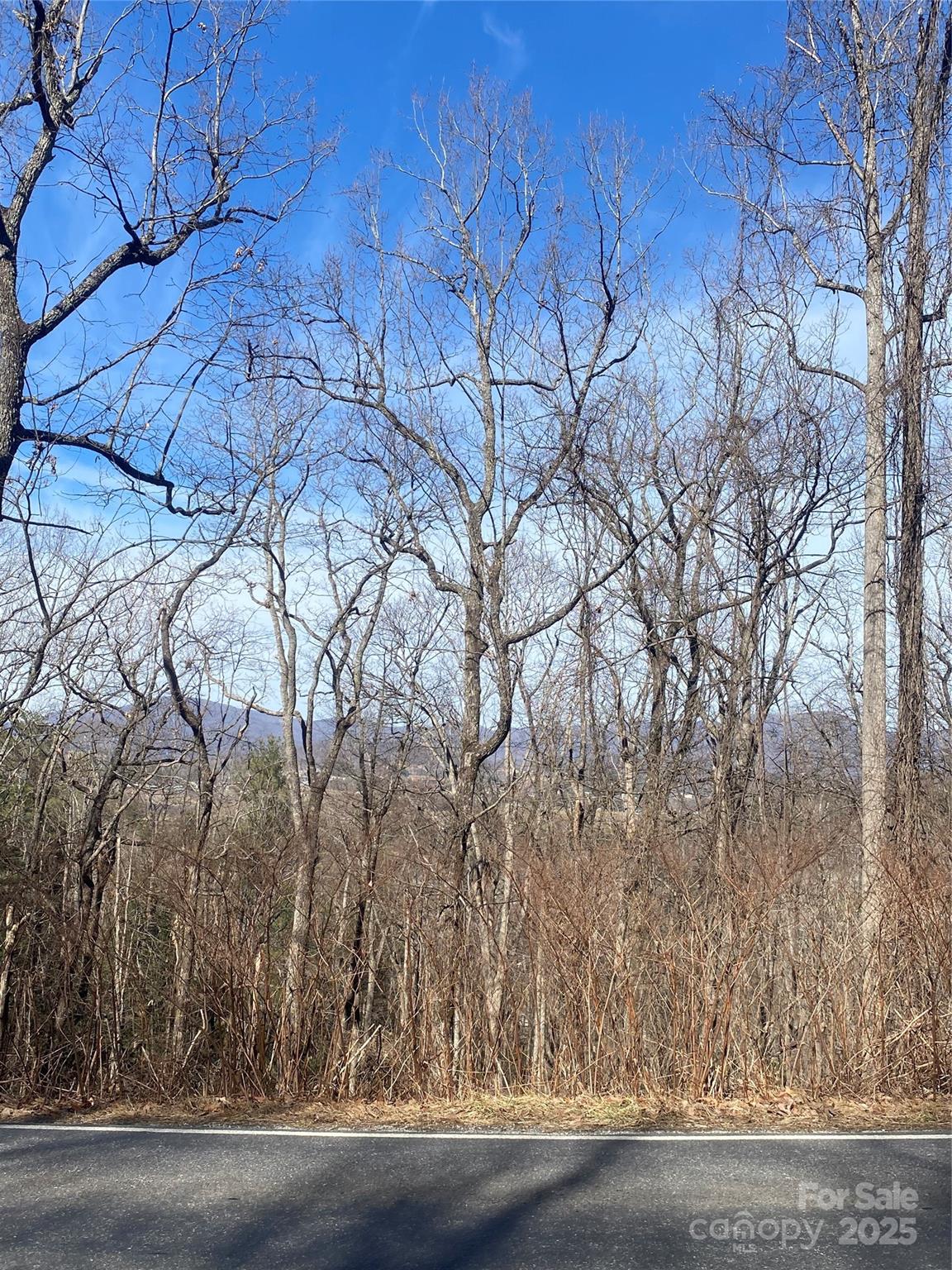 Property image 4 at 131 Eagles Eye Drive, Hendersonville, NC 28792