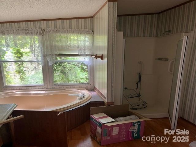 Property image 5 at 771 Bishop Lane, Mill Spring, NC 28756