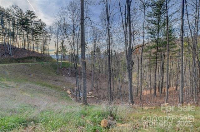 Property at 33 Bent Branch Lane, Asheville, NC 28804